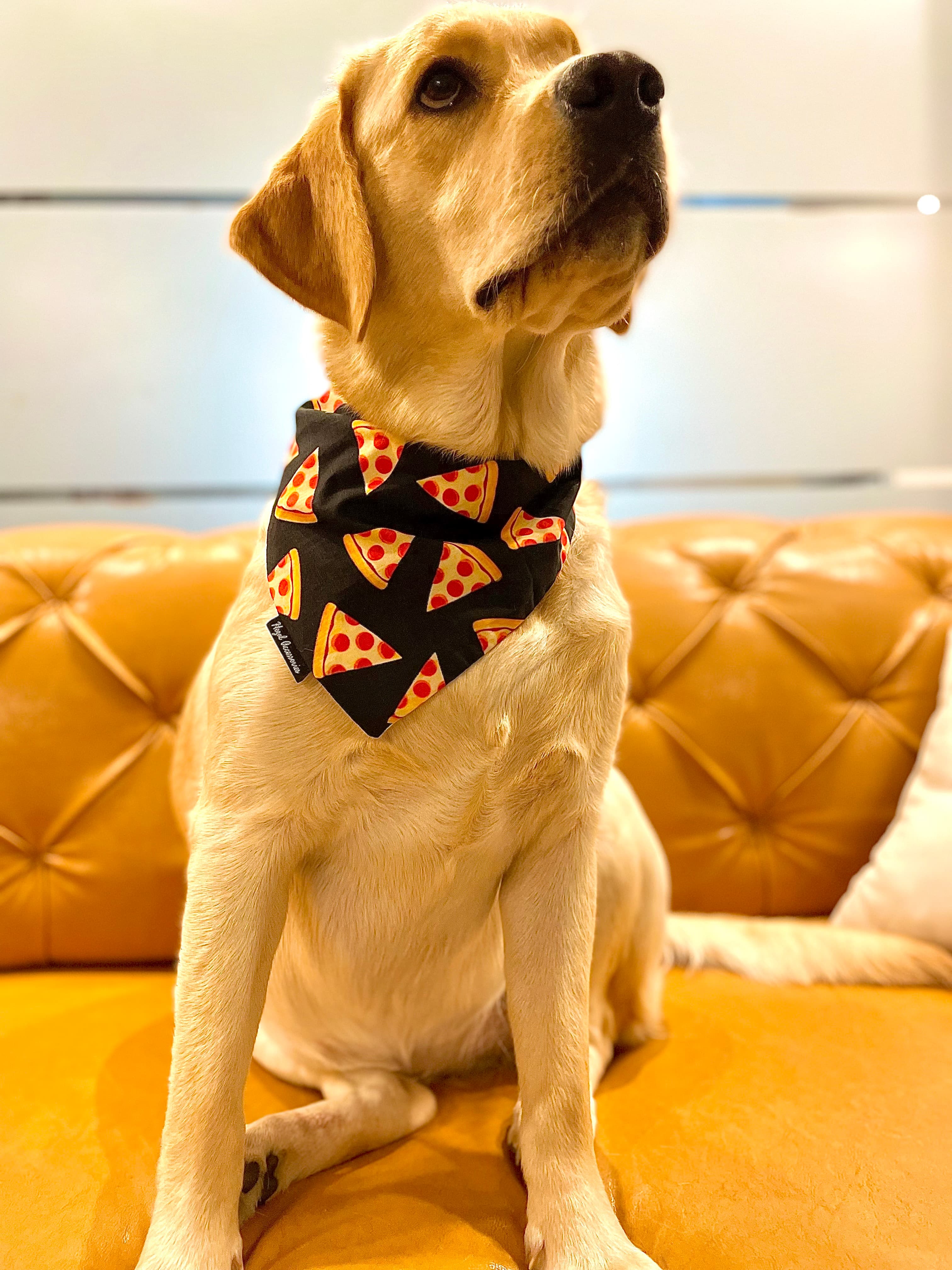 I love pizza tie on bandana  image 2
