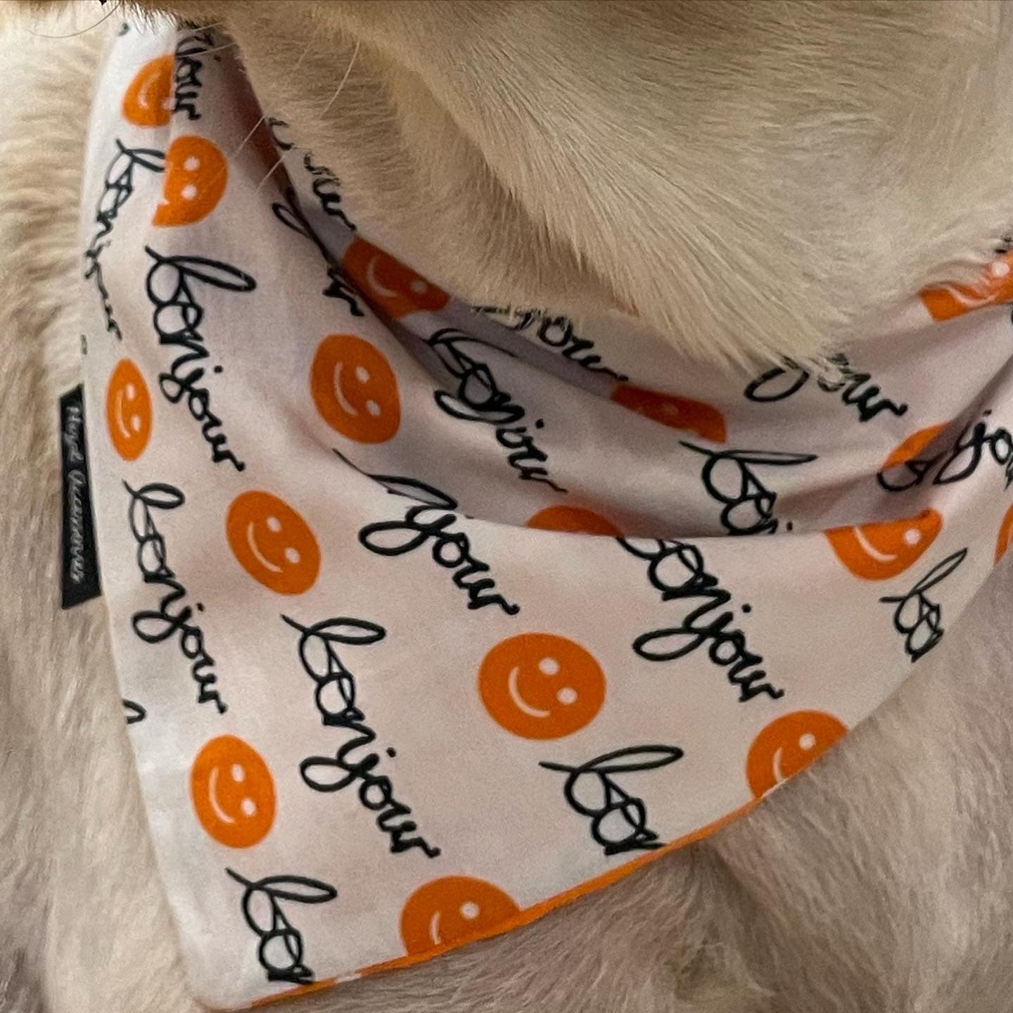 Bonjour tie on bandana/ neck scarf image 3