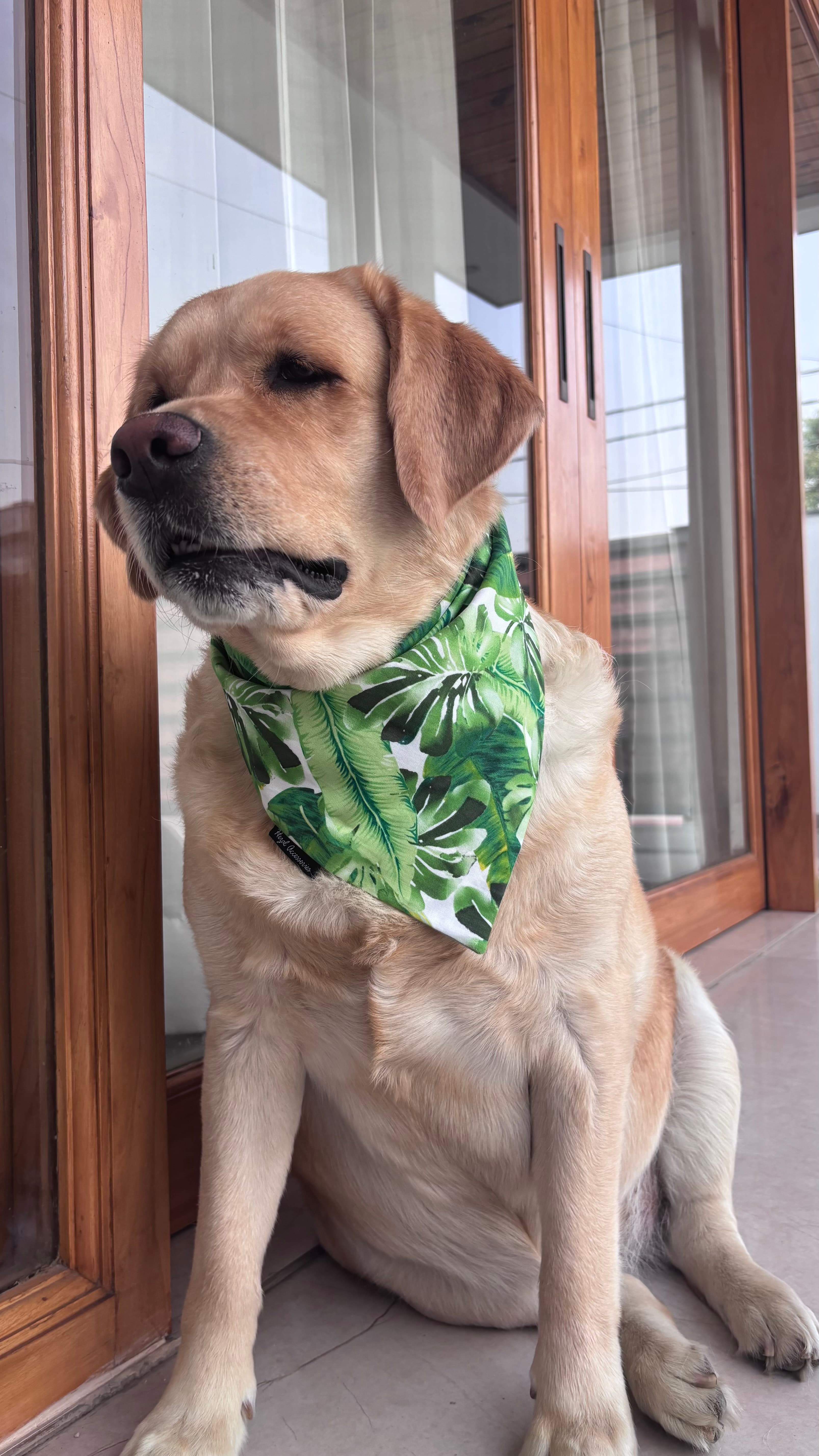 Tropical leaves tie on bandana/ neck scarf