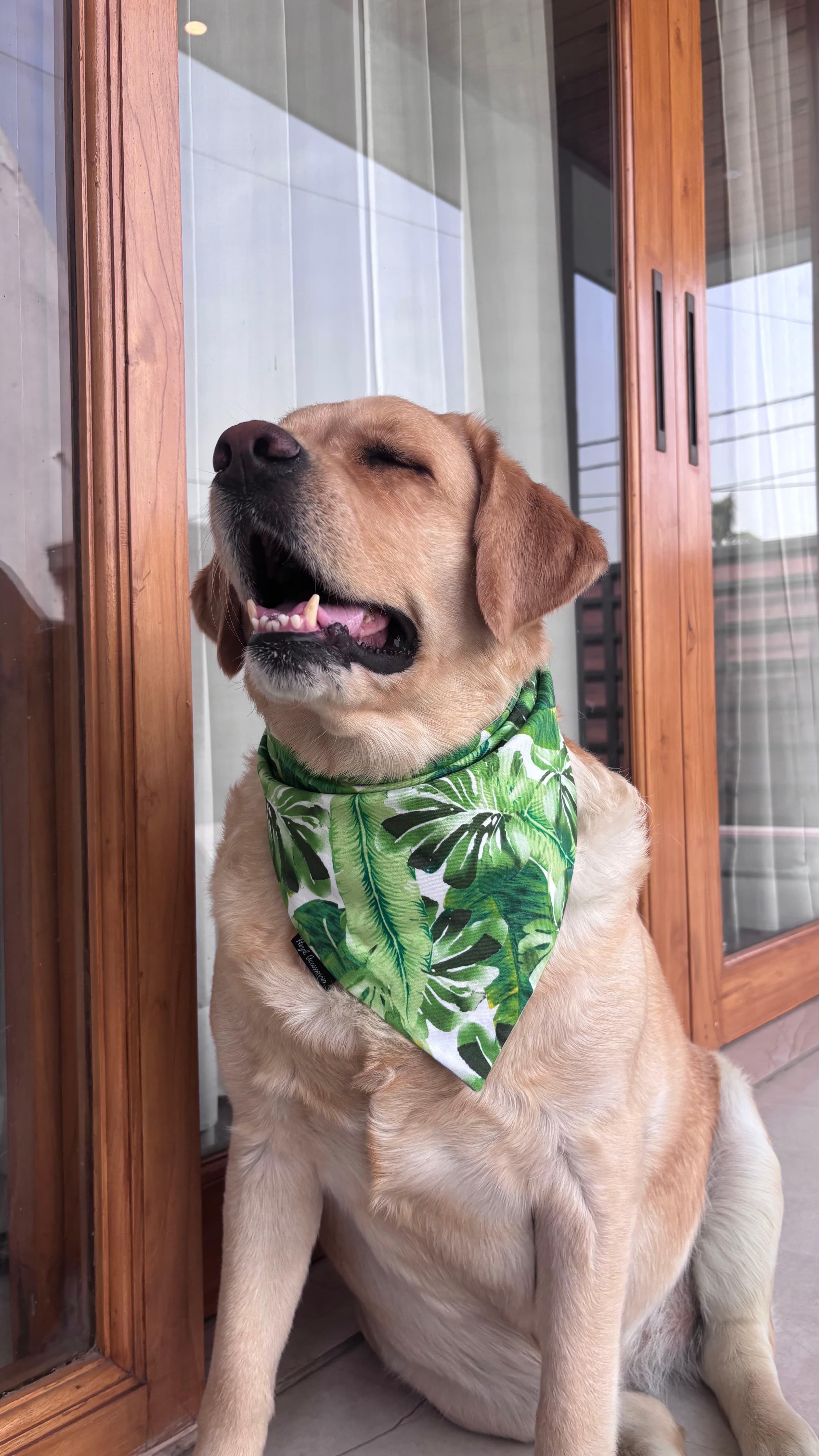 Tropical leaves tie on bandana/ neck scarf image 2