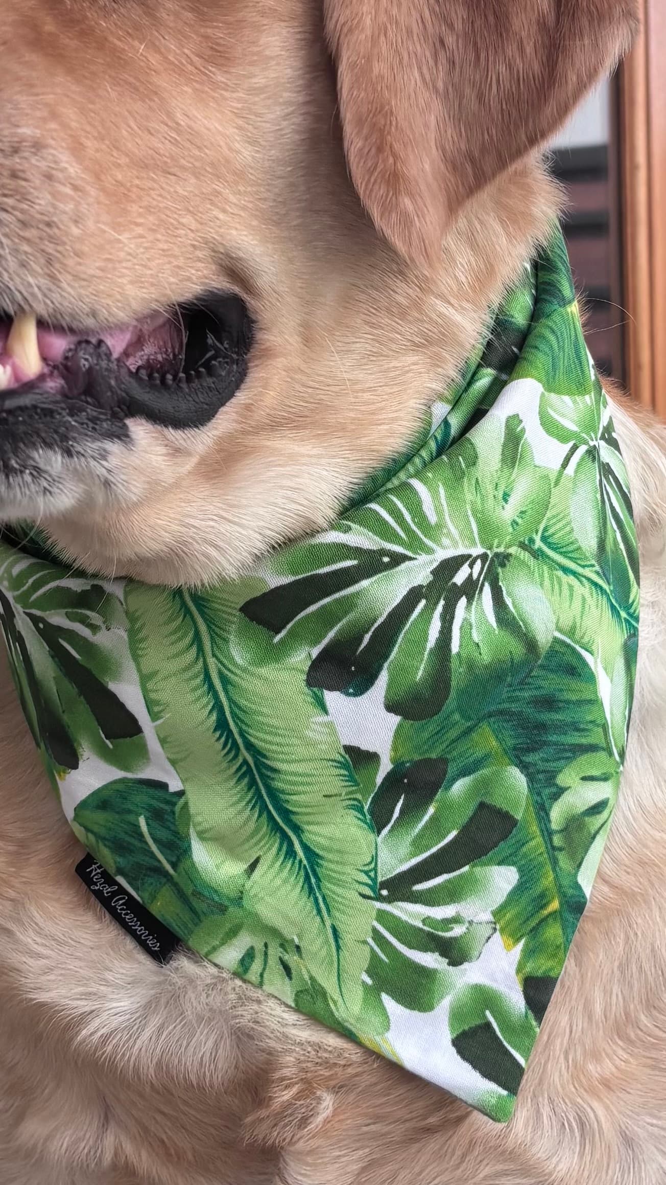 Tropical leaves tie on bandana/ neck scarf image 3