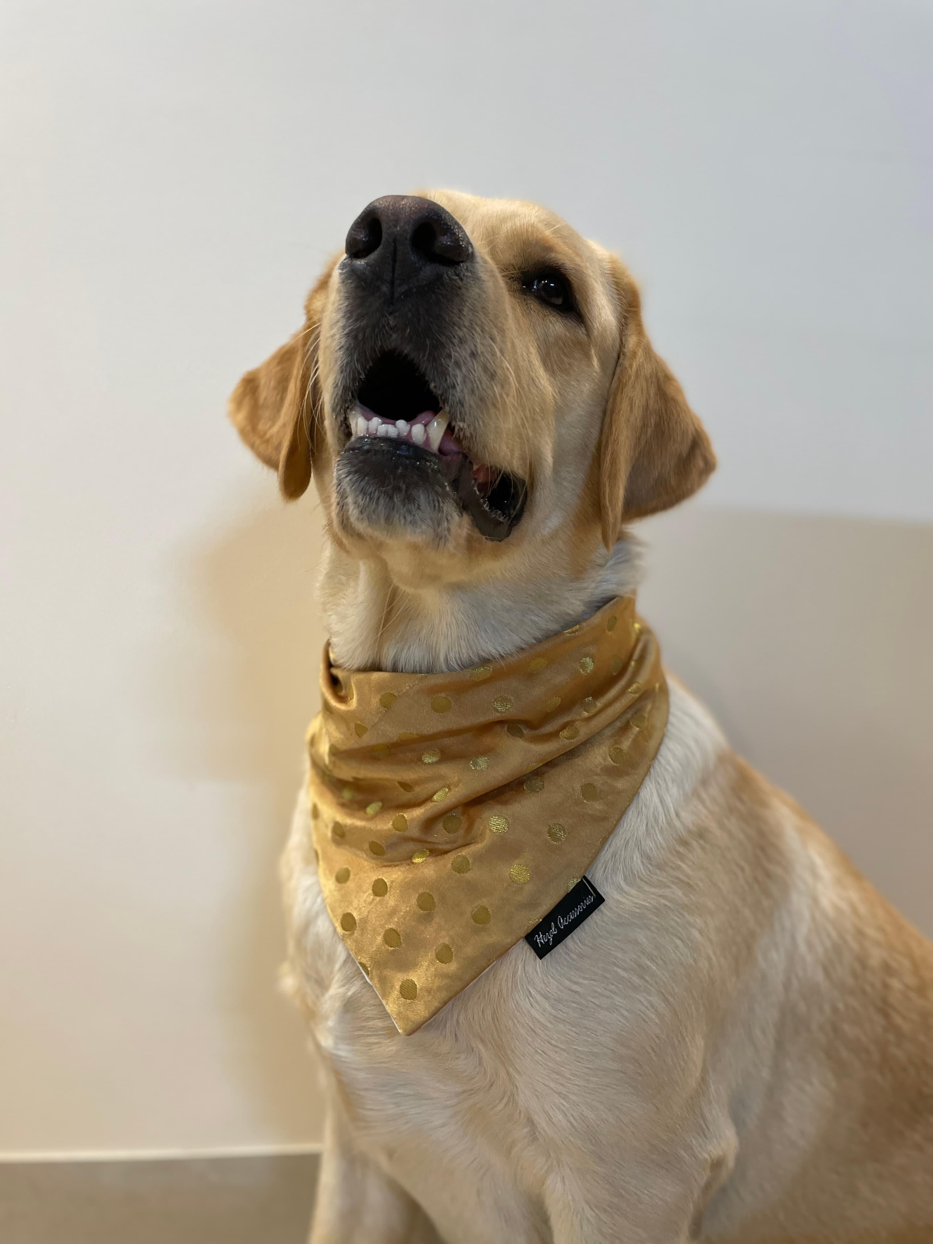 Golden silk butti tie on bandana  image 2
