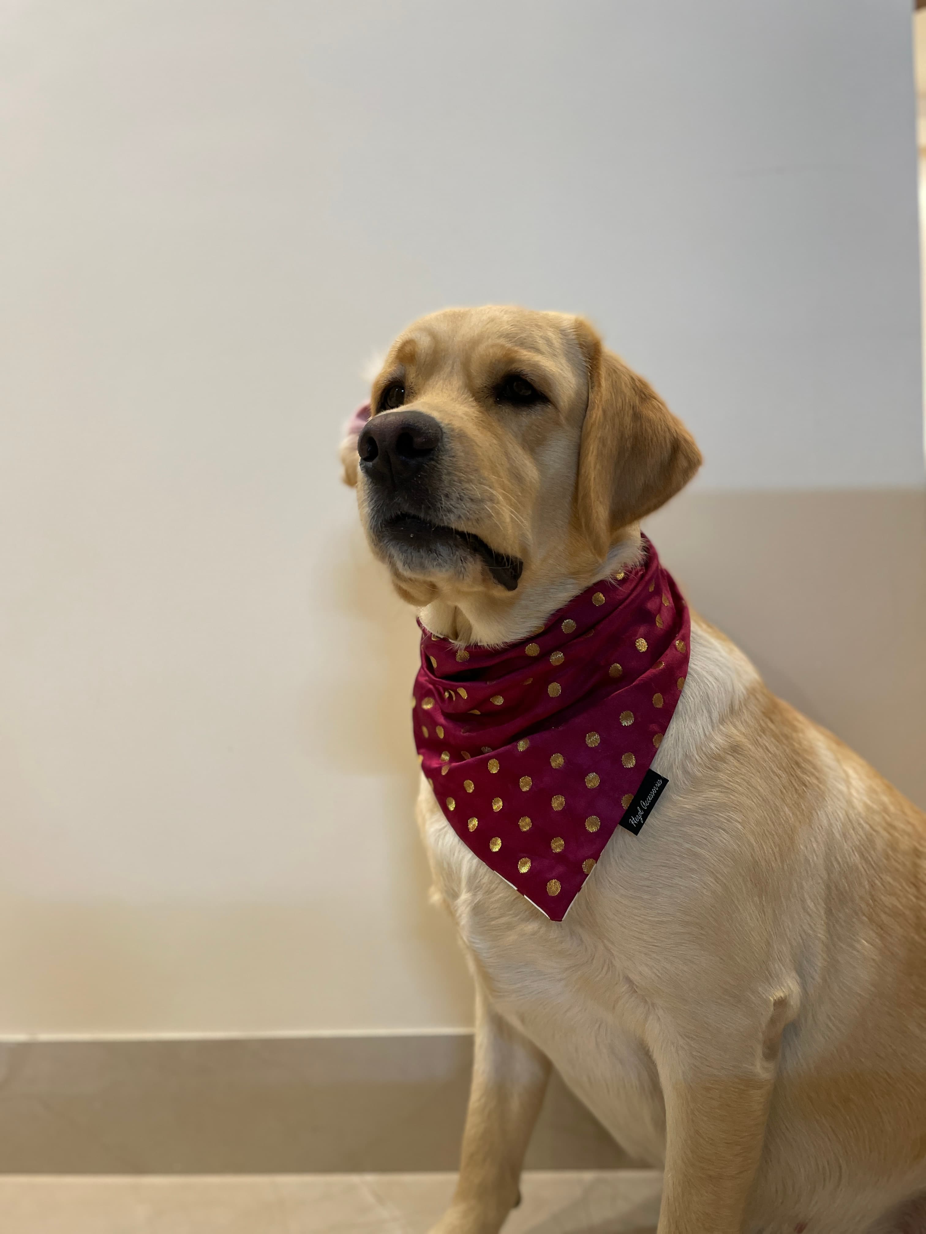 Burgundy silk butti tie on bandana  image 3