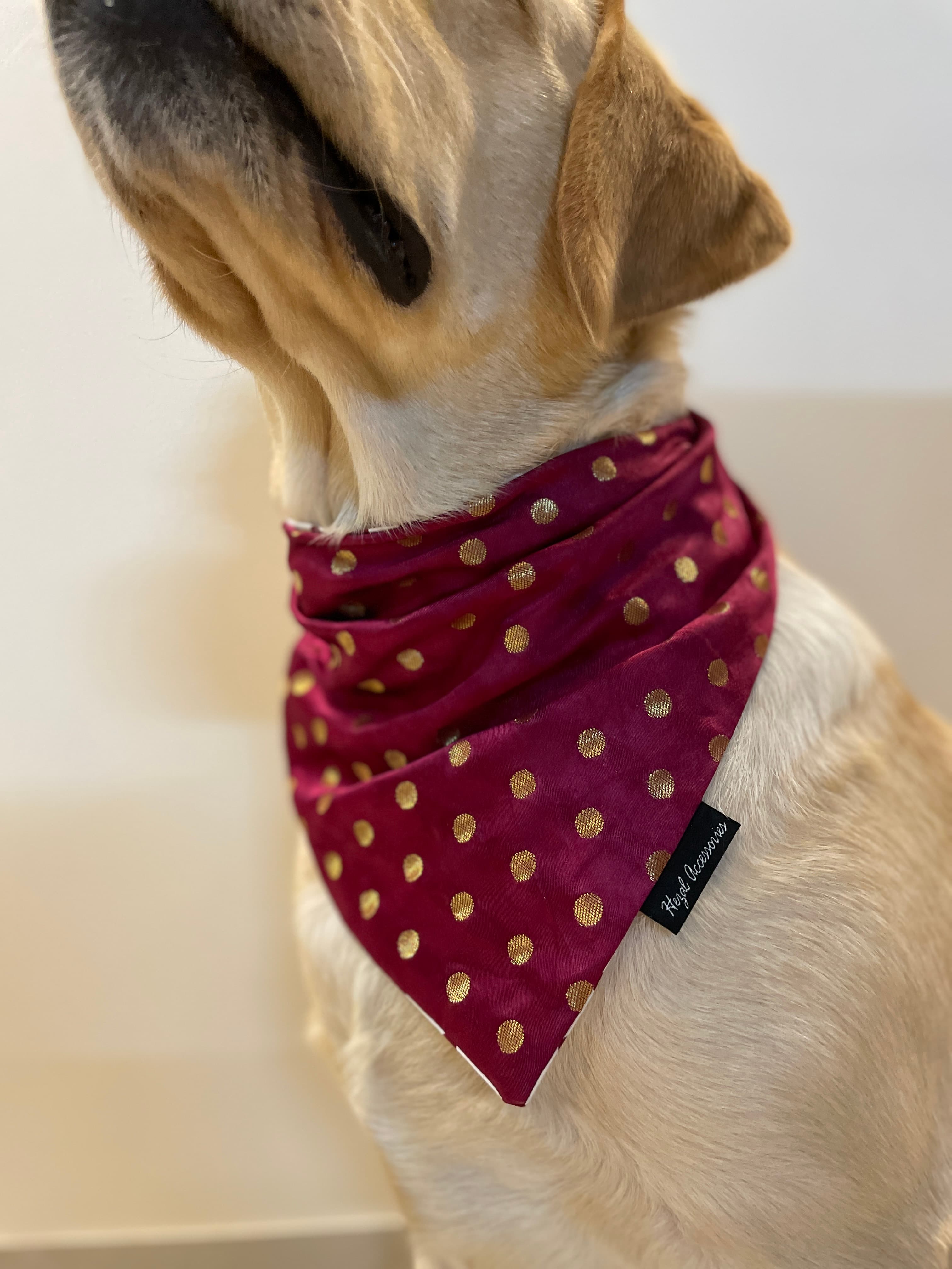 Burgundy silk butti tie on bandana  image 4