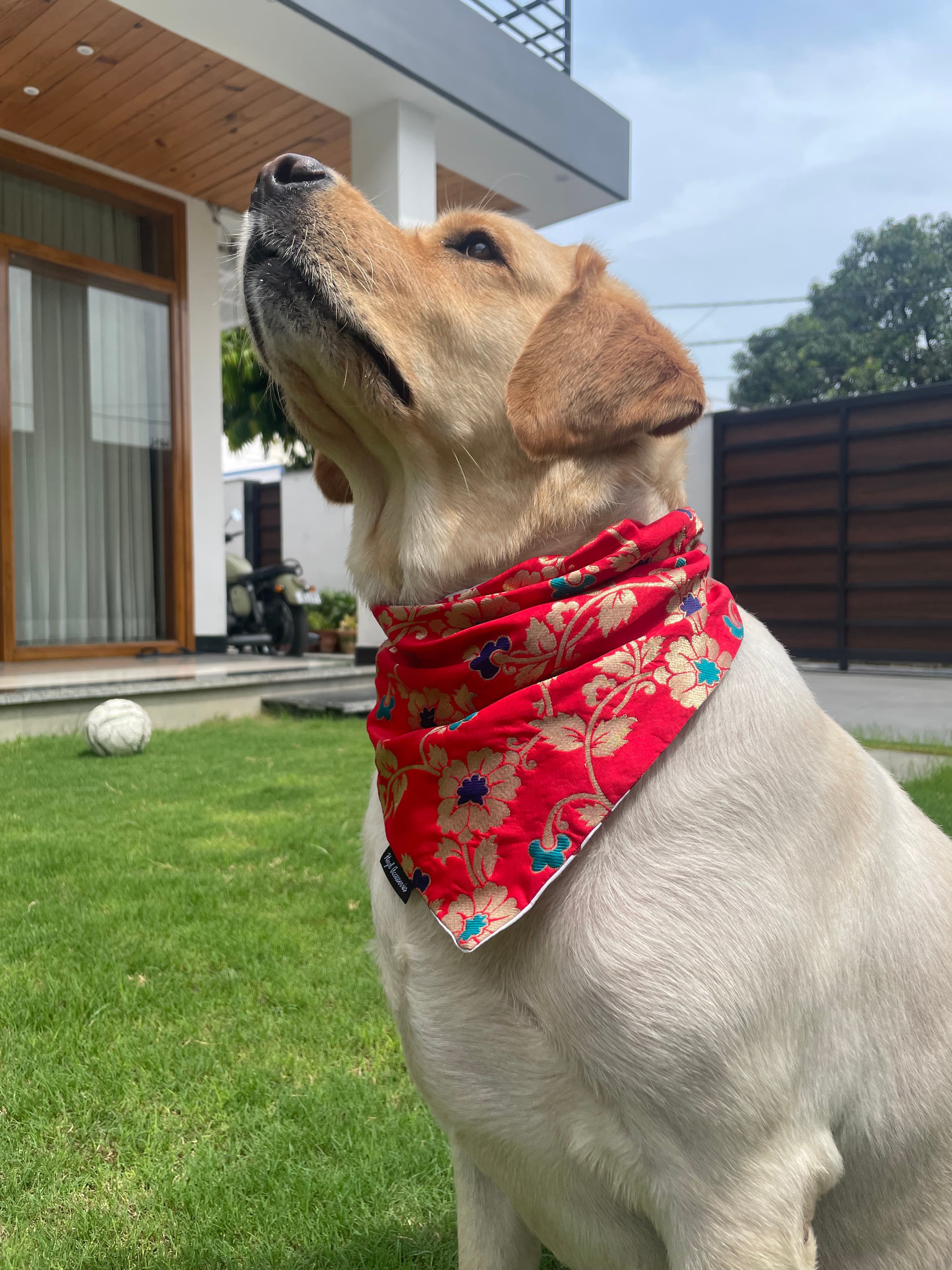 Red brocade silk tie on bandana  image 3