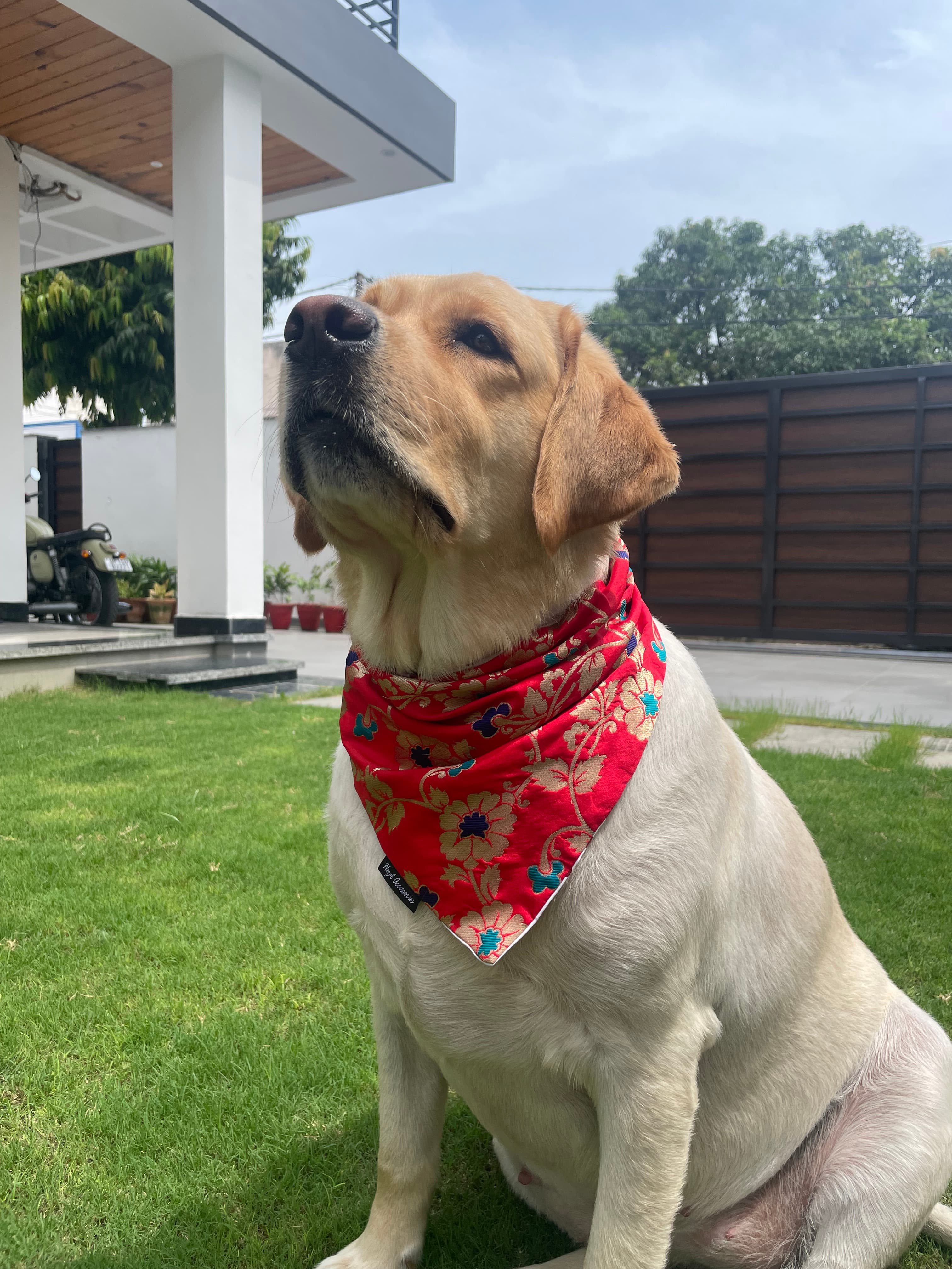 Red brocade silk tie on bandana  image 2