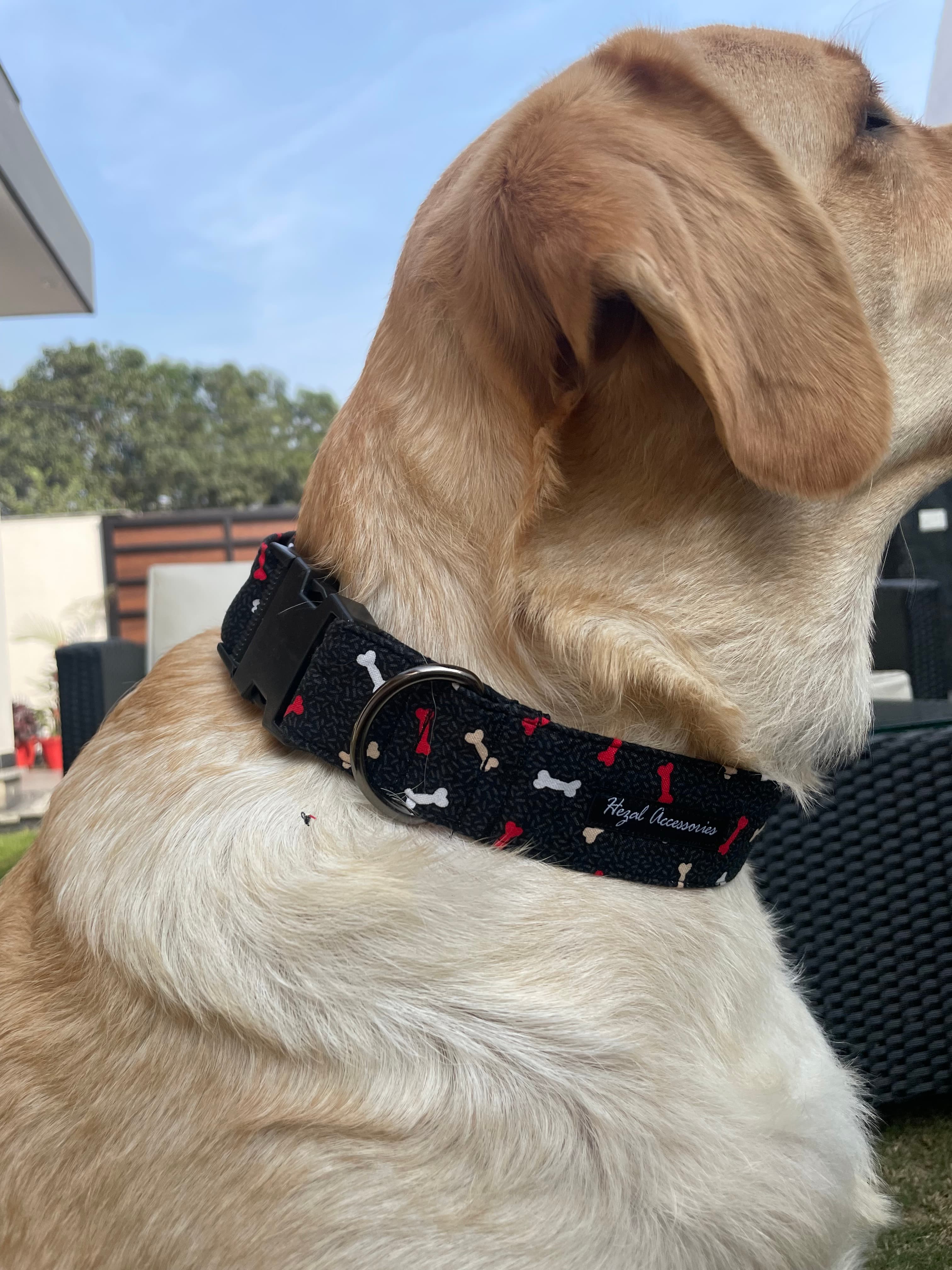 Red and white Bone print collar 