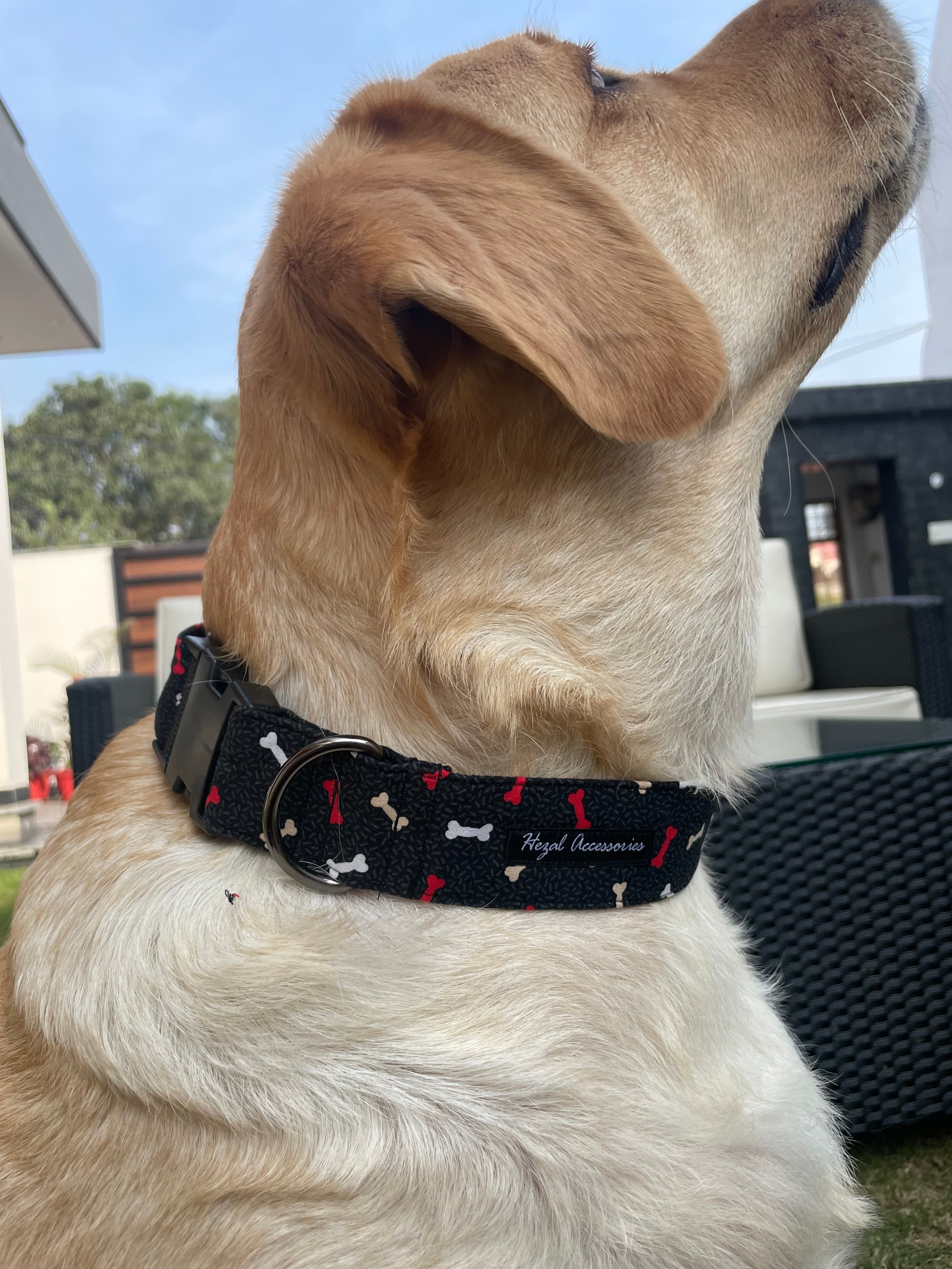 Red and white Bone print collar  image 2