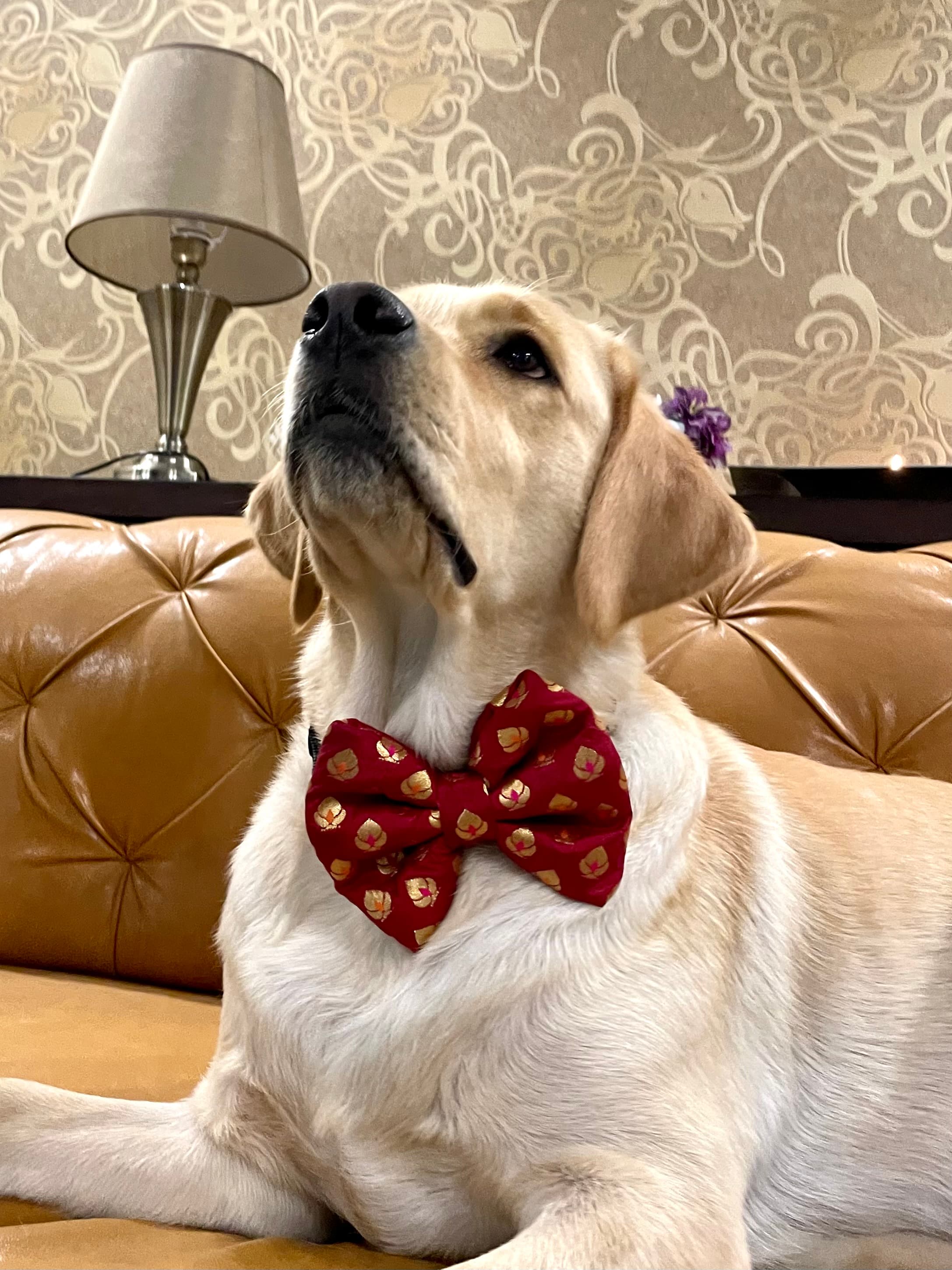 Red chanderi silk golden motif bow tie  