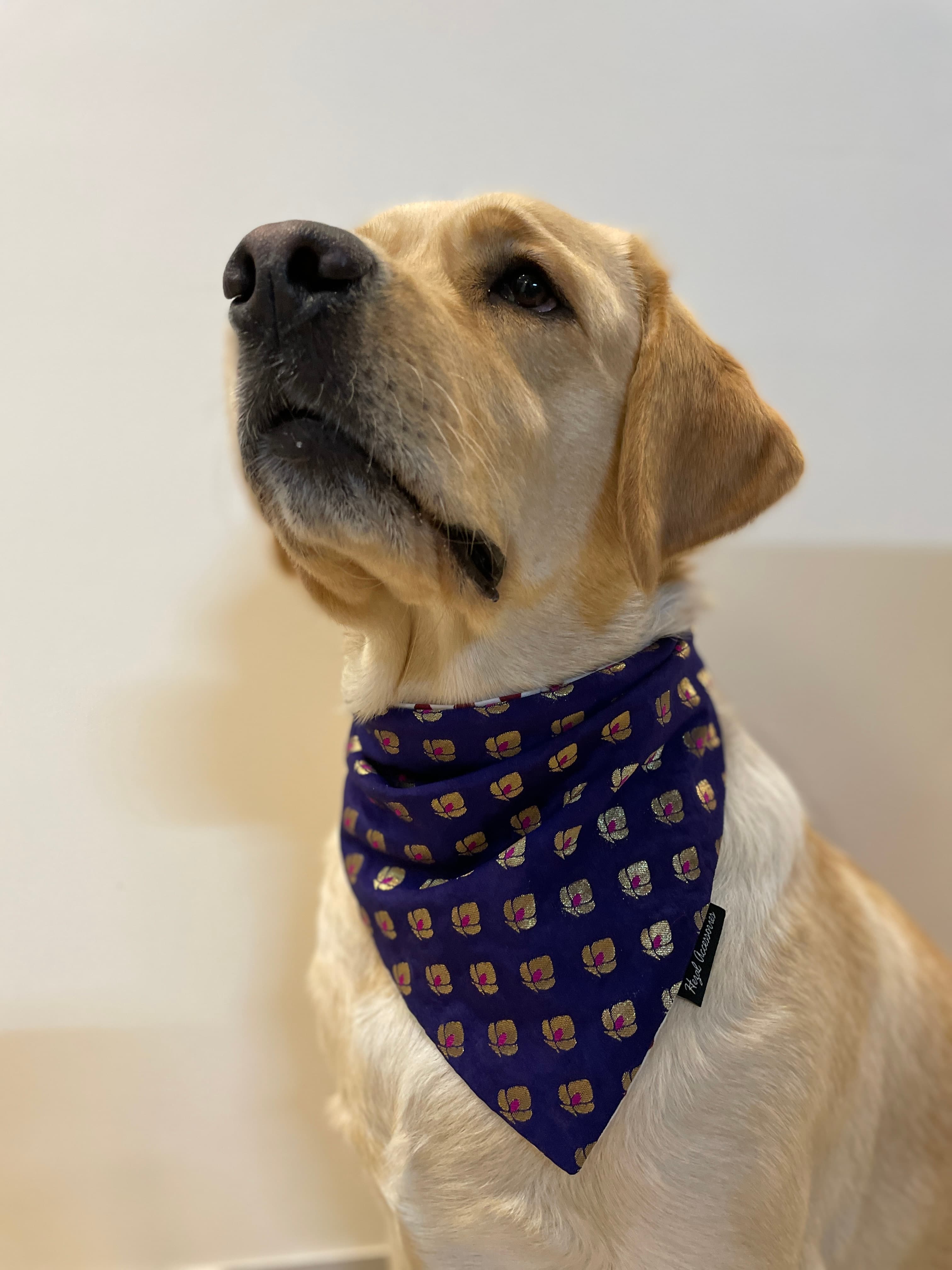Dark mauve golden butti tie on bandana  image 2
