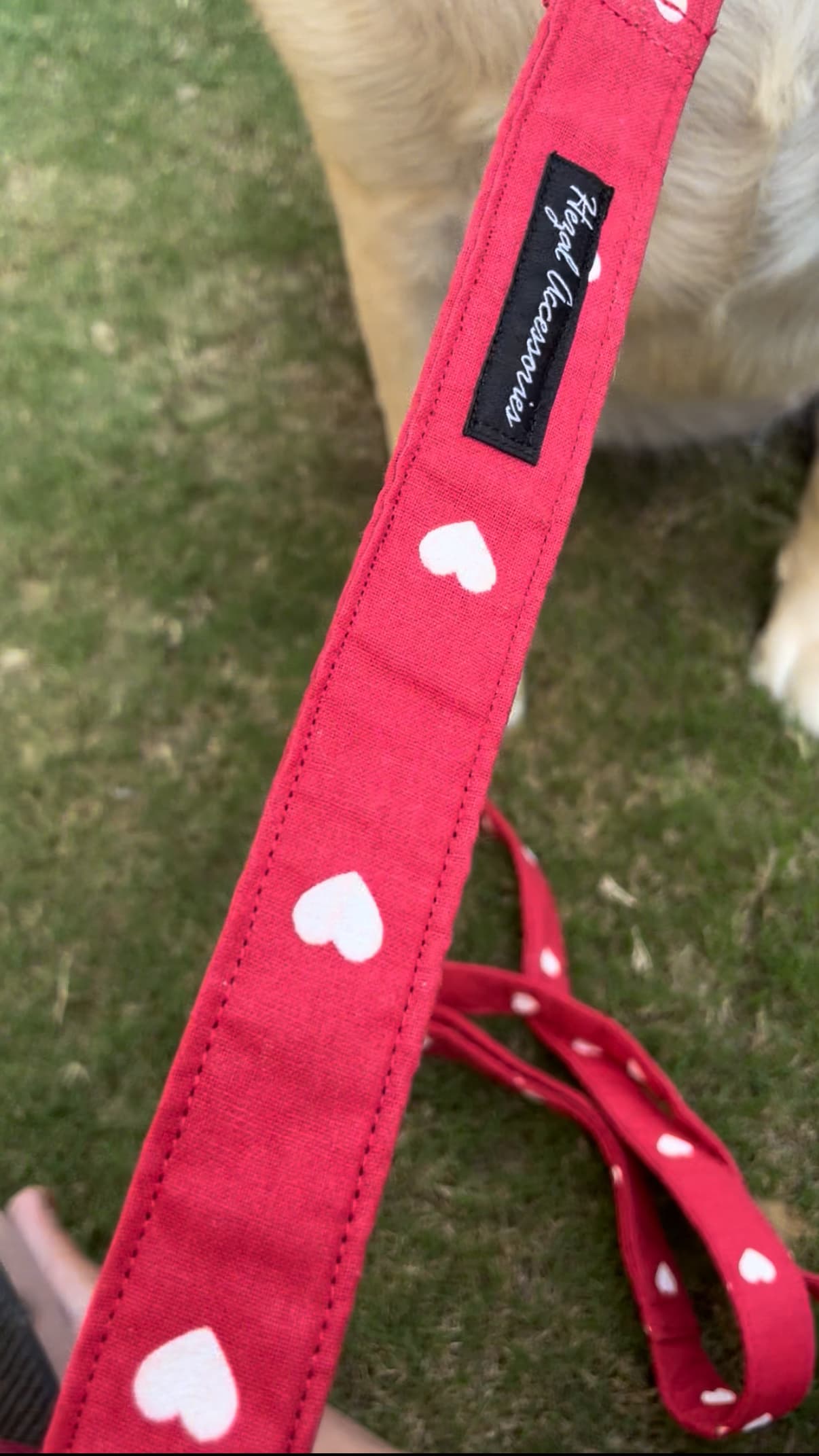 White Hearts collar leash set  image 4