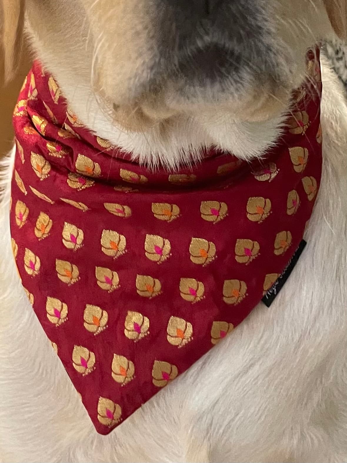 Golden motif red chanderi silk tie on bandana  image 3
