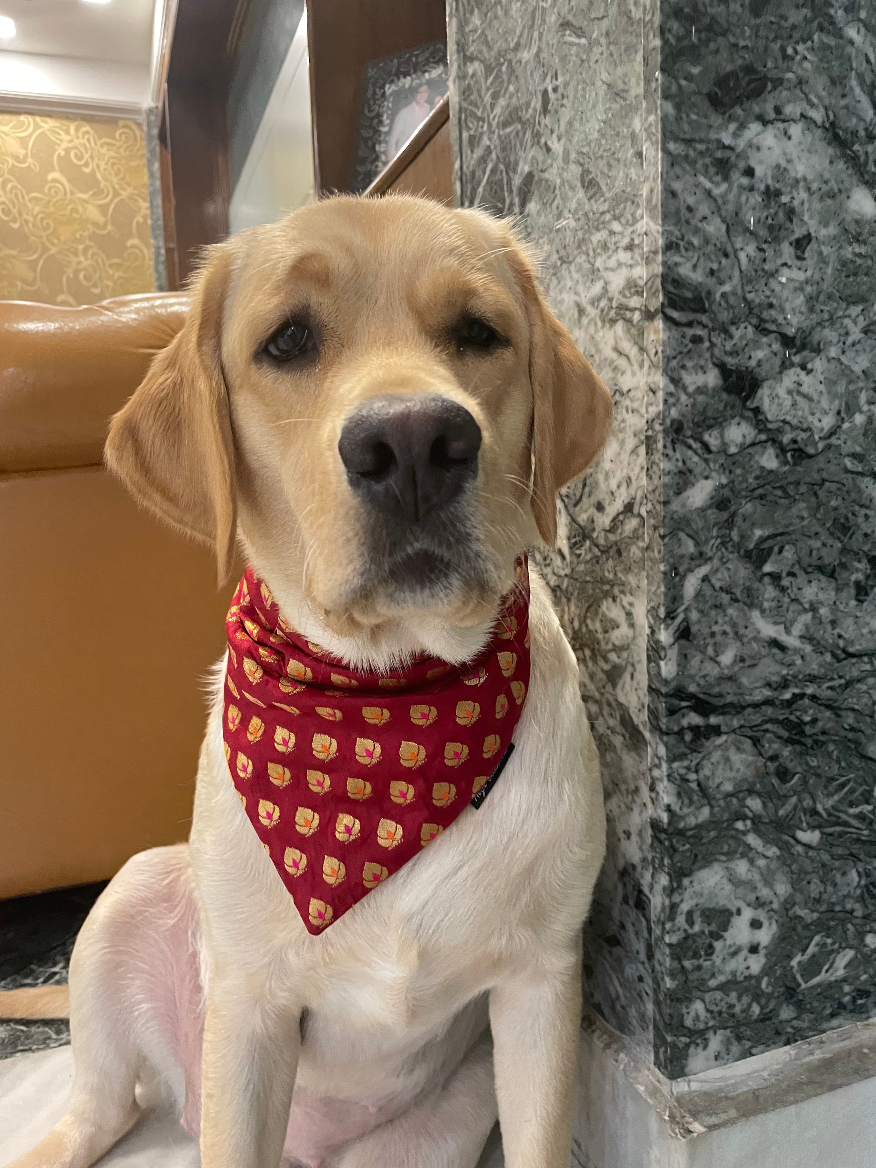 Golden motif red chanderi silk tie on bandana 