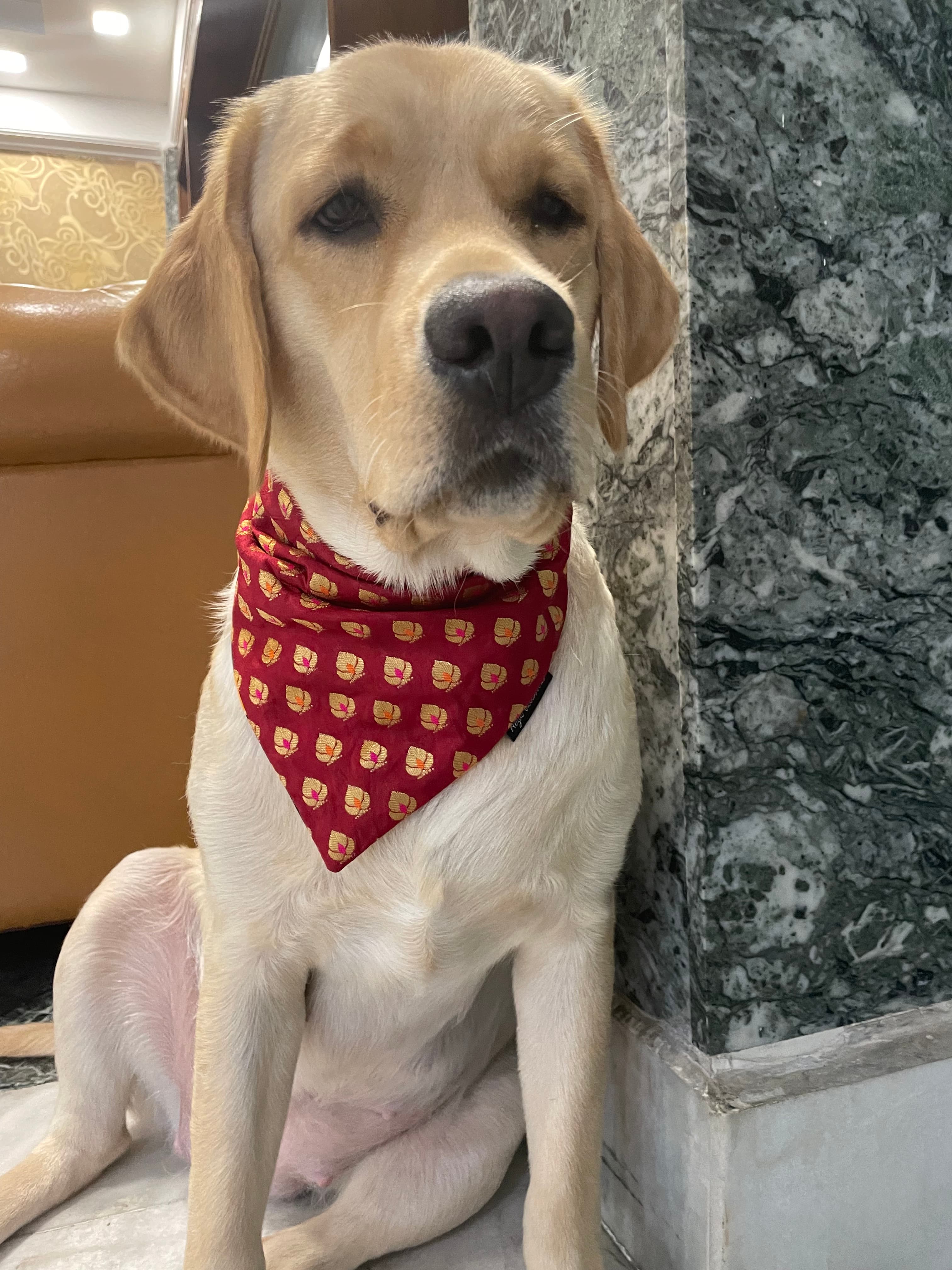 Golden motif red chanderi silk tie on bandana  image 2