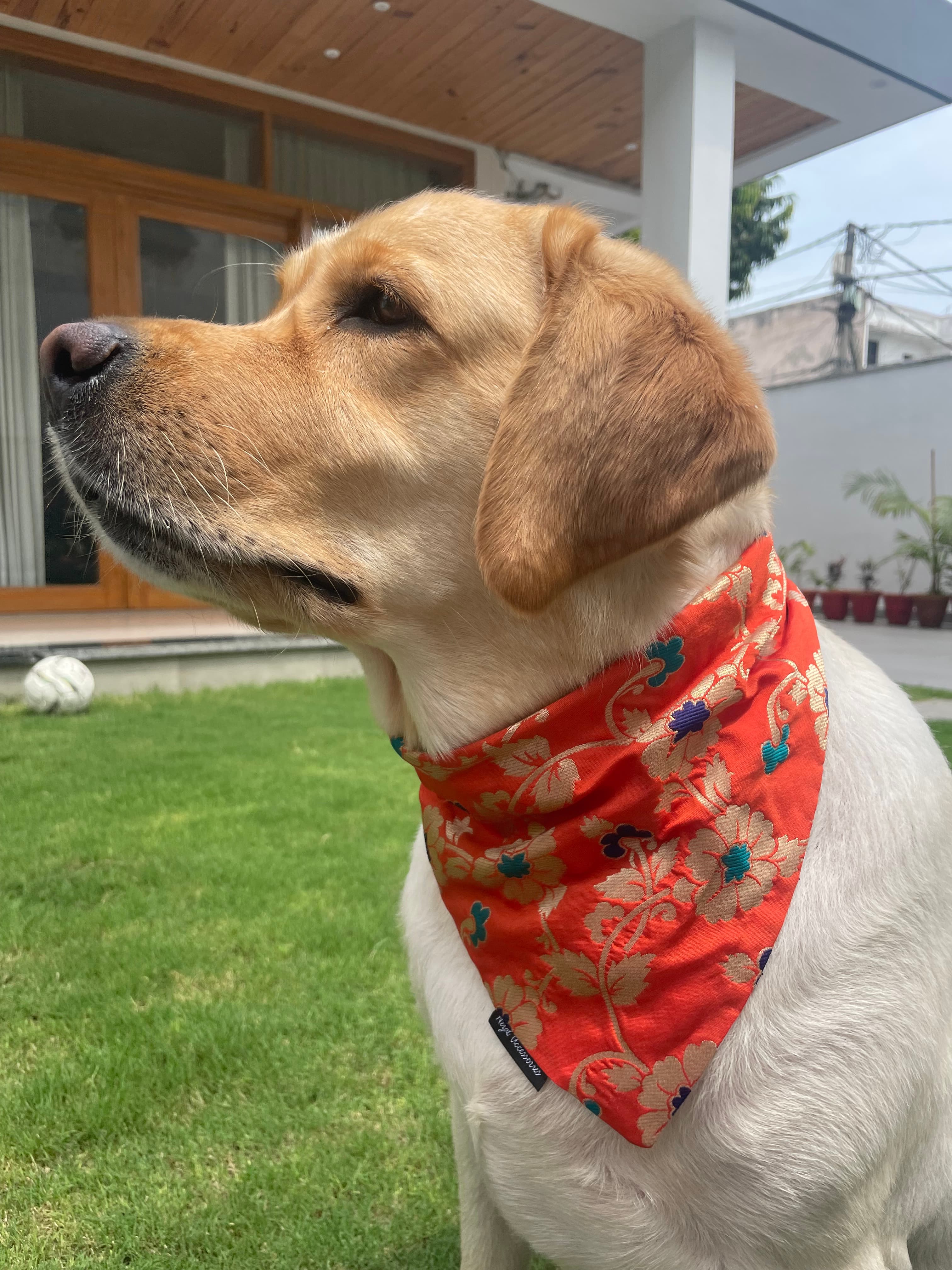 Marigold brocade silk tie on bandana  image 3
