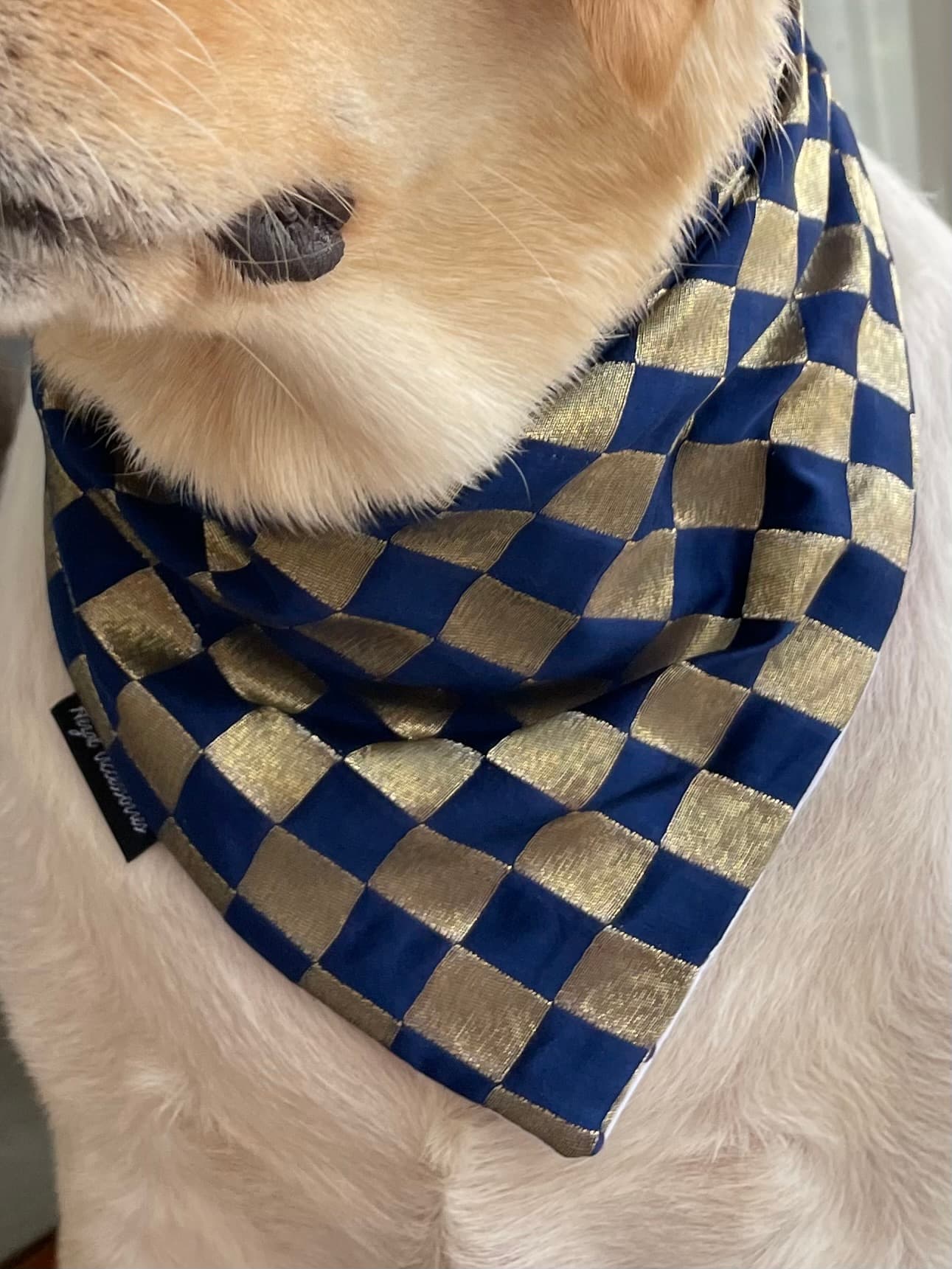 Blue and Gold checkered silk tie on bandana  image 4
