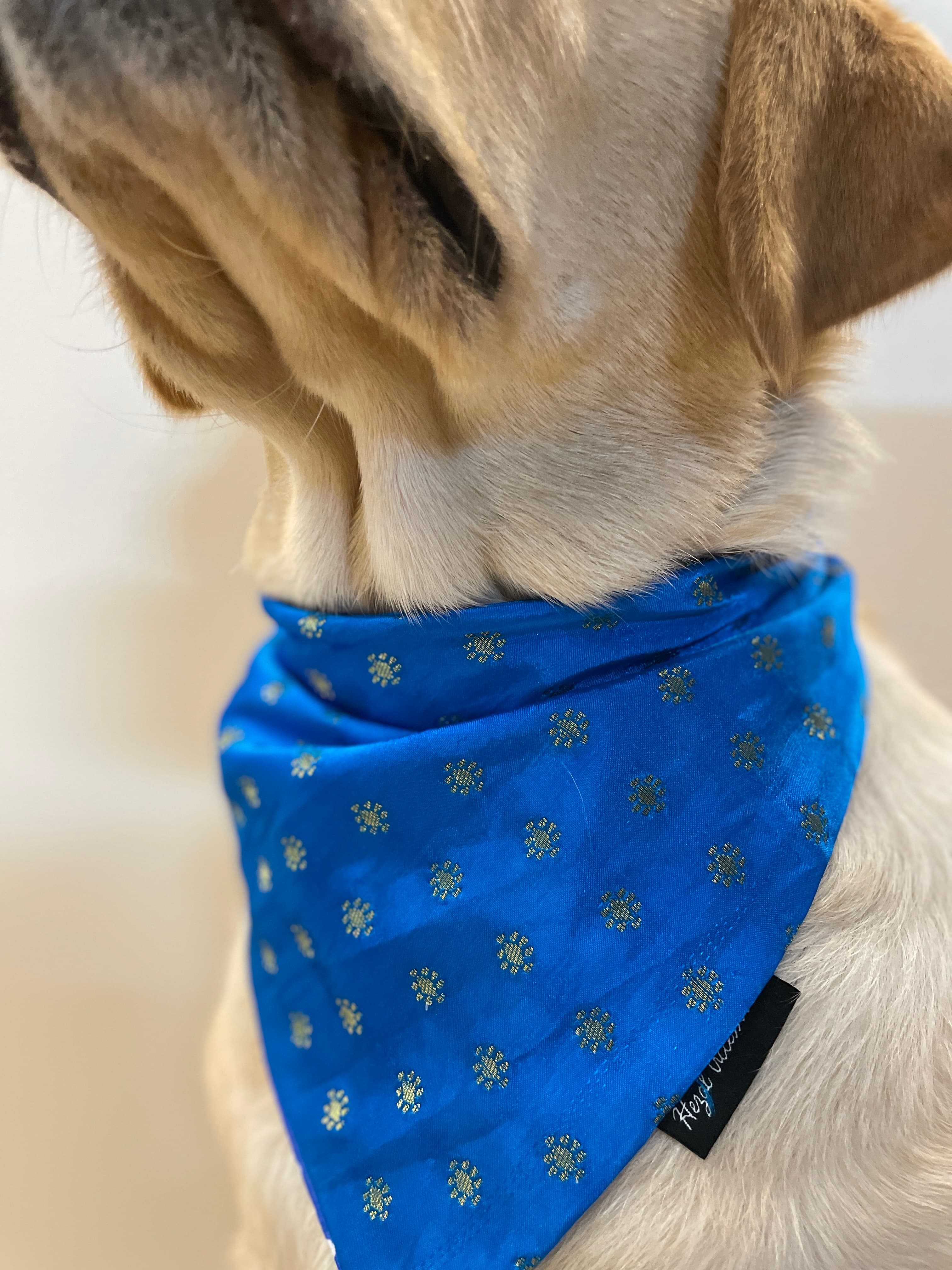 Royal Blue silk bandana with golden motifs  image 4