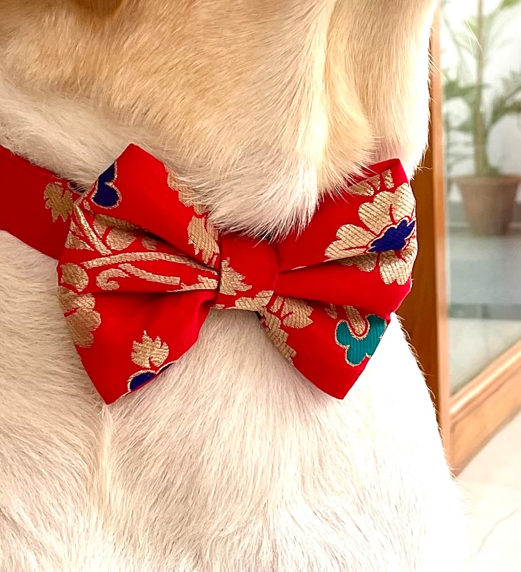 Scarlet Bloom Brocade Bow Tie