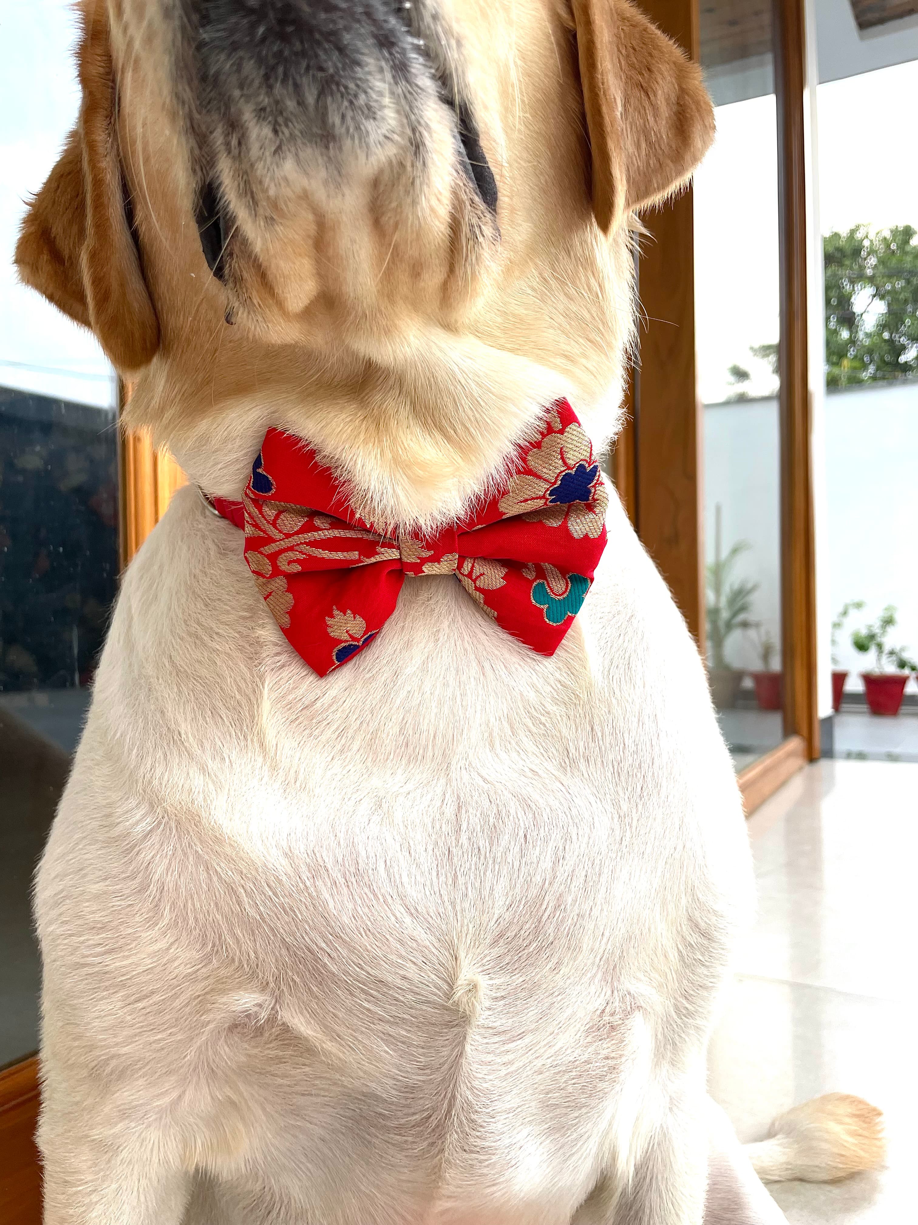 Scarlet Bloom Brocade Bow Tie image 4