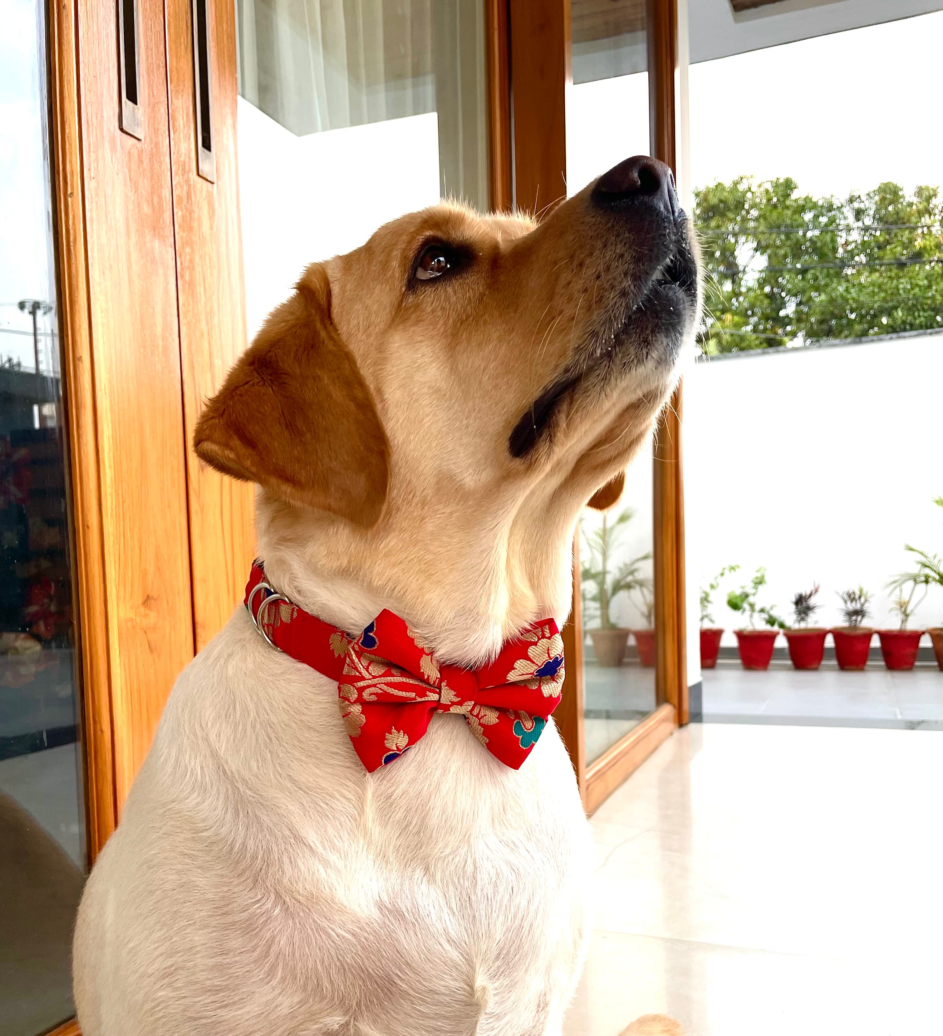 Scarlet Bloom Brocade Bow Tie image 3