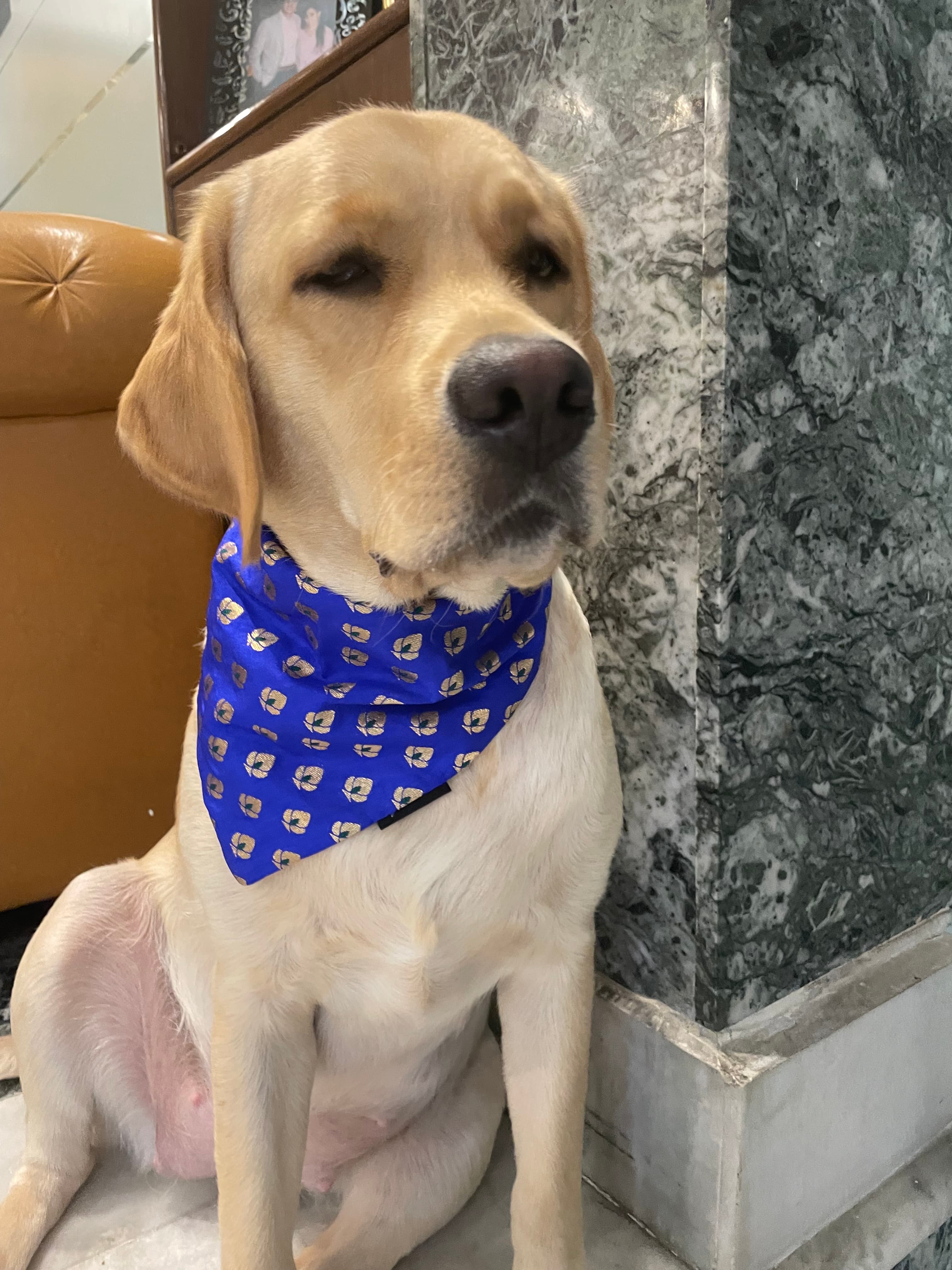 Royal Sapphire Chanderi Silk Bandana