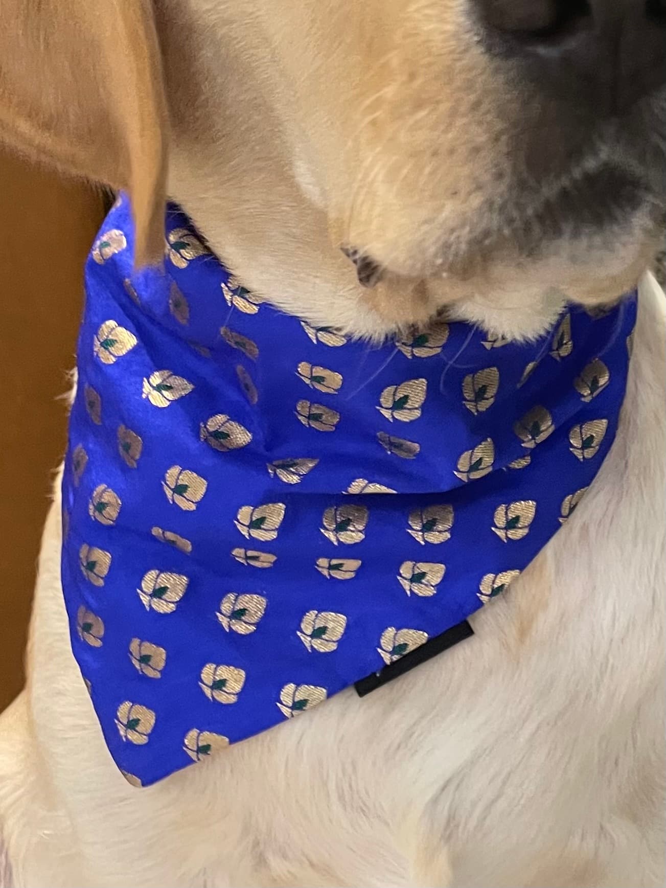 Royal Sapphire Chanderi Silk Bandana image 3