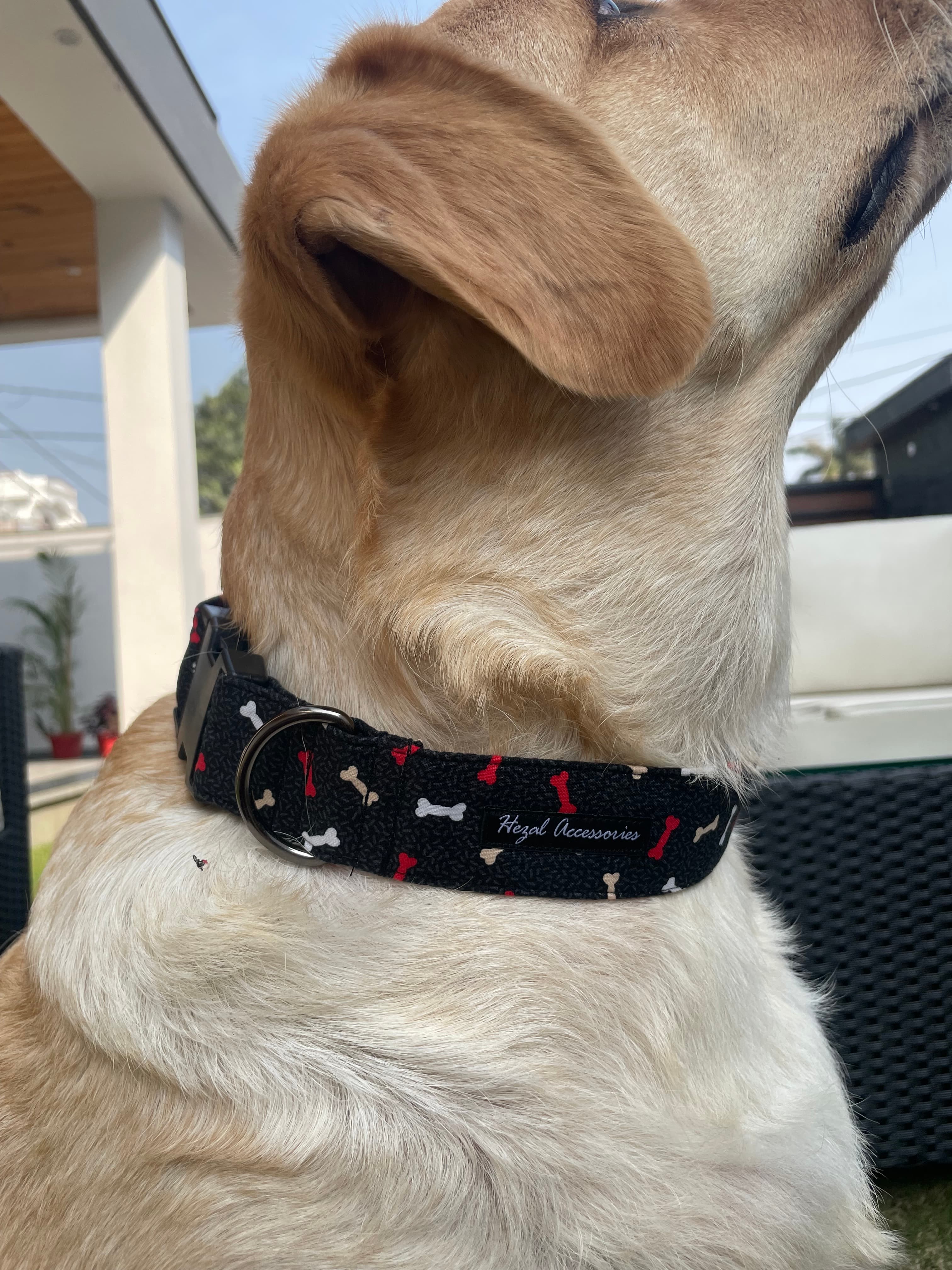 Red and white bones collar leash set  image 3