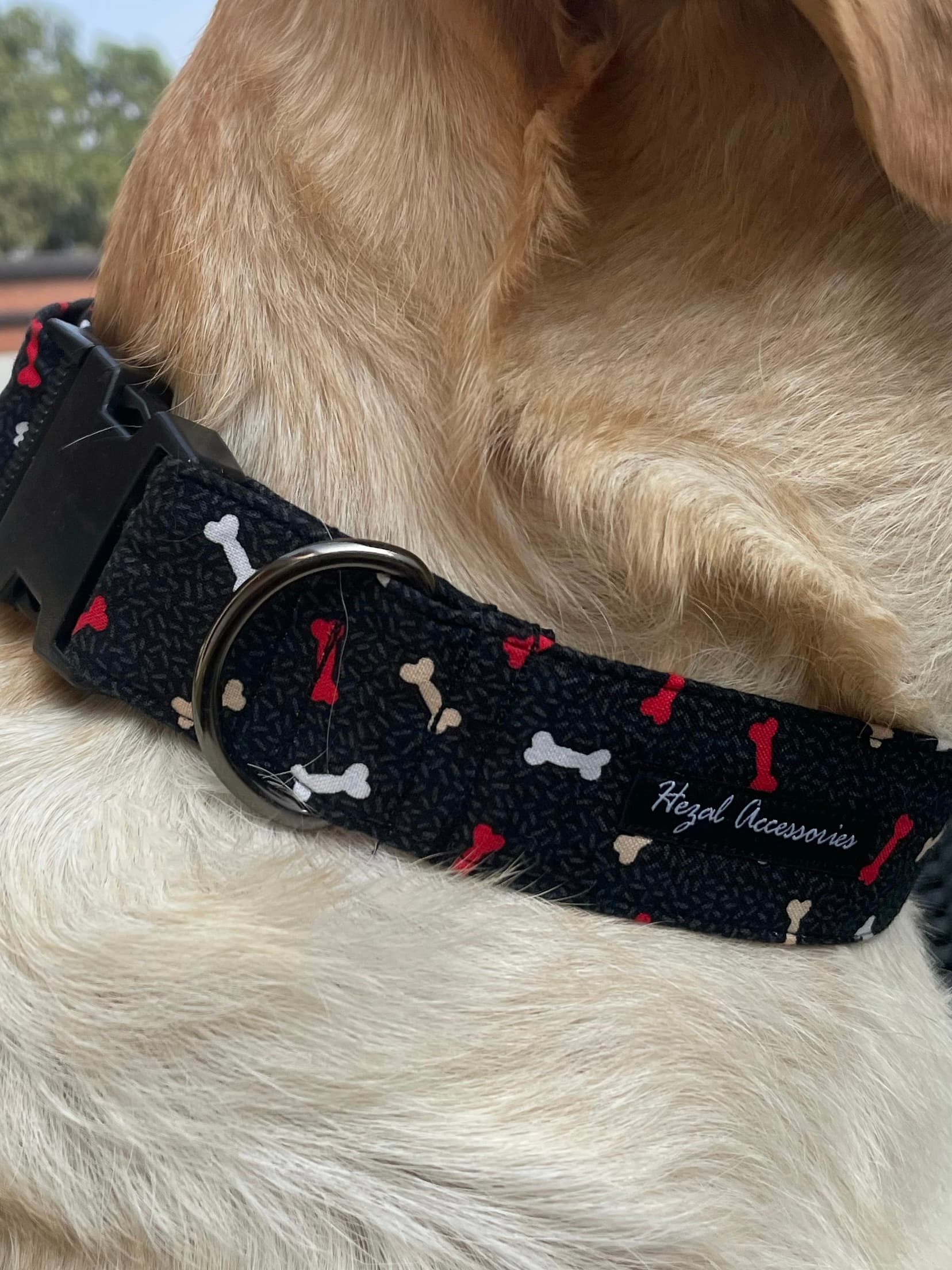Red and white bones collar leash set  image 4