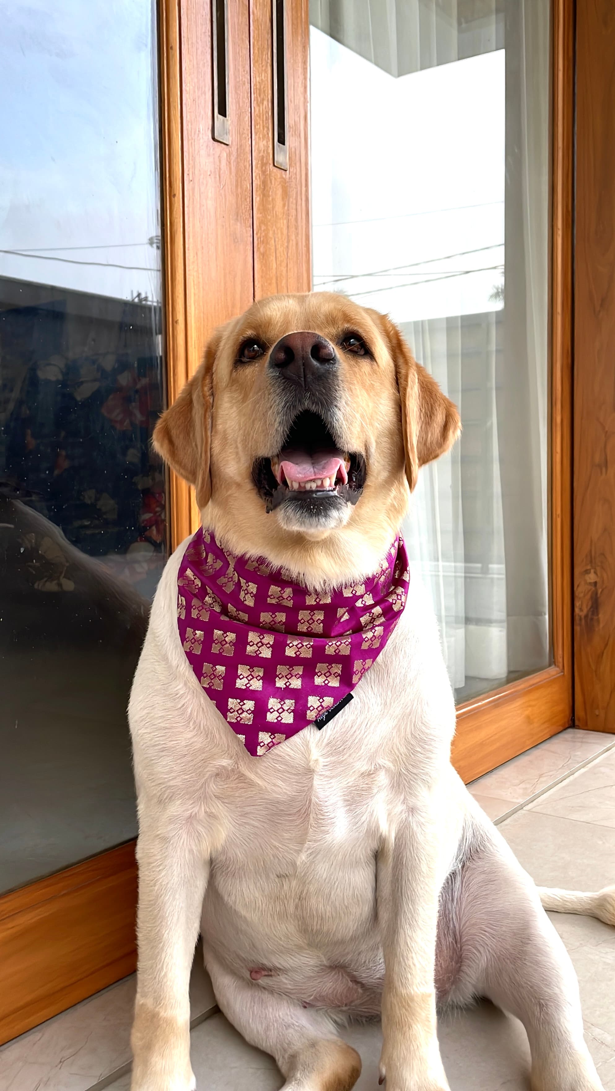 Magenta Banarasi tie on Bandana  image 2