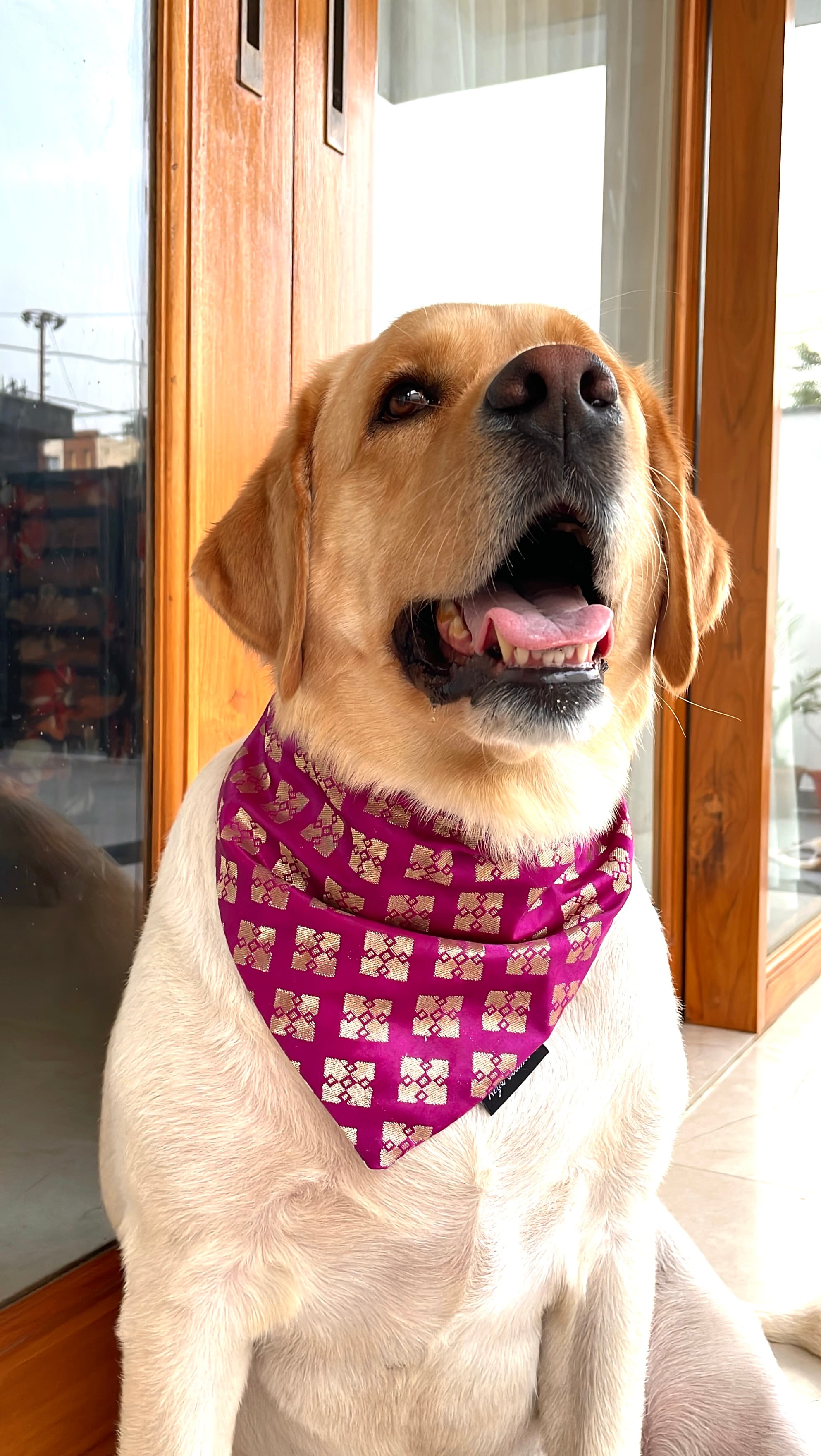 Magenta Banarasi tie on Bandana 