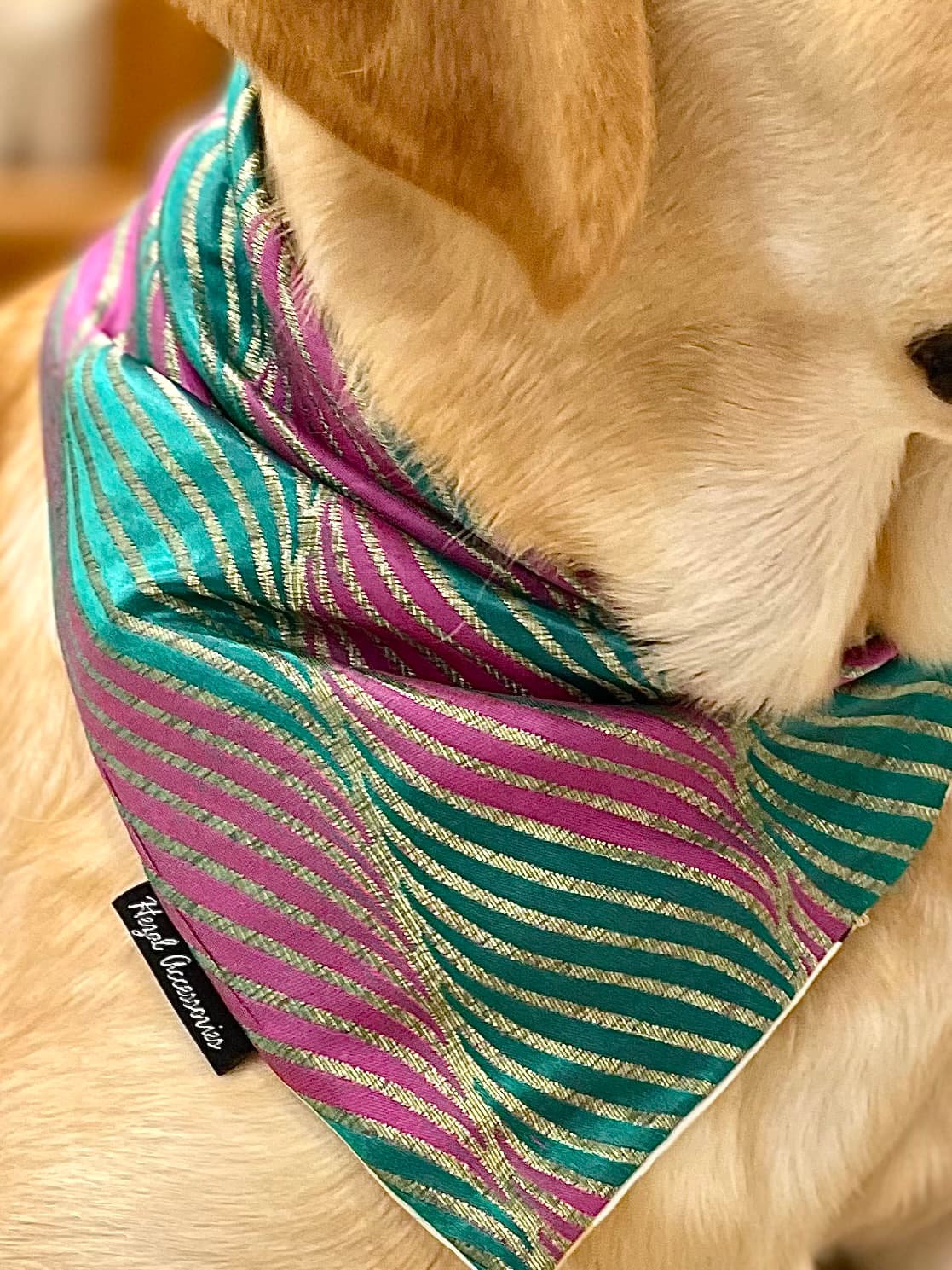 Emerald & Orchid Stripes Silk tie on Bandana image 2