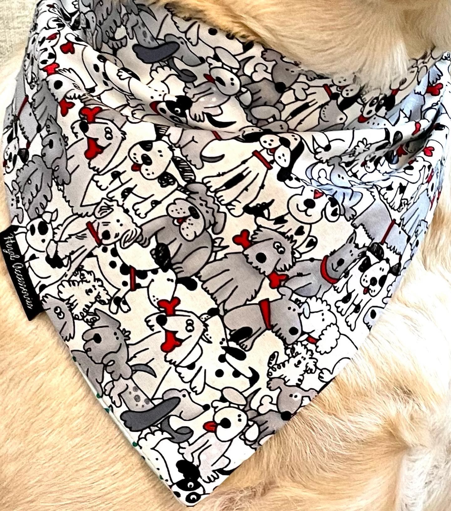 Pawfect Pals tie on Bandana  image 2