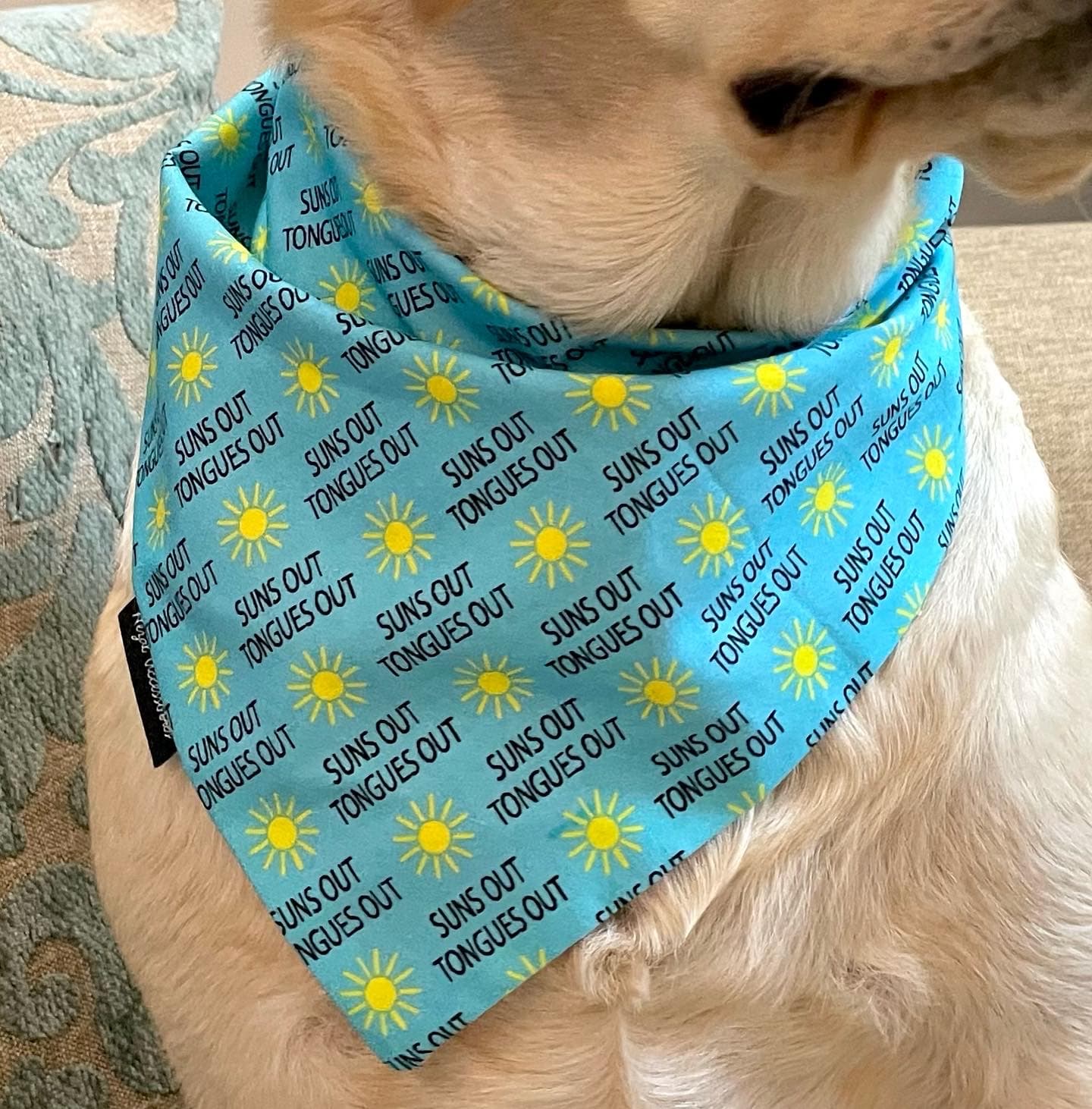 Suns Out, Tongues Out tie on Bandana image 4