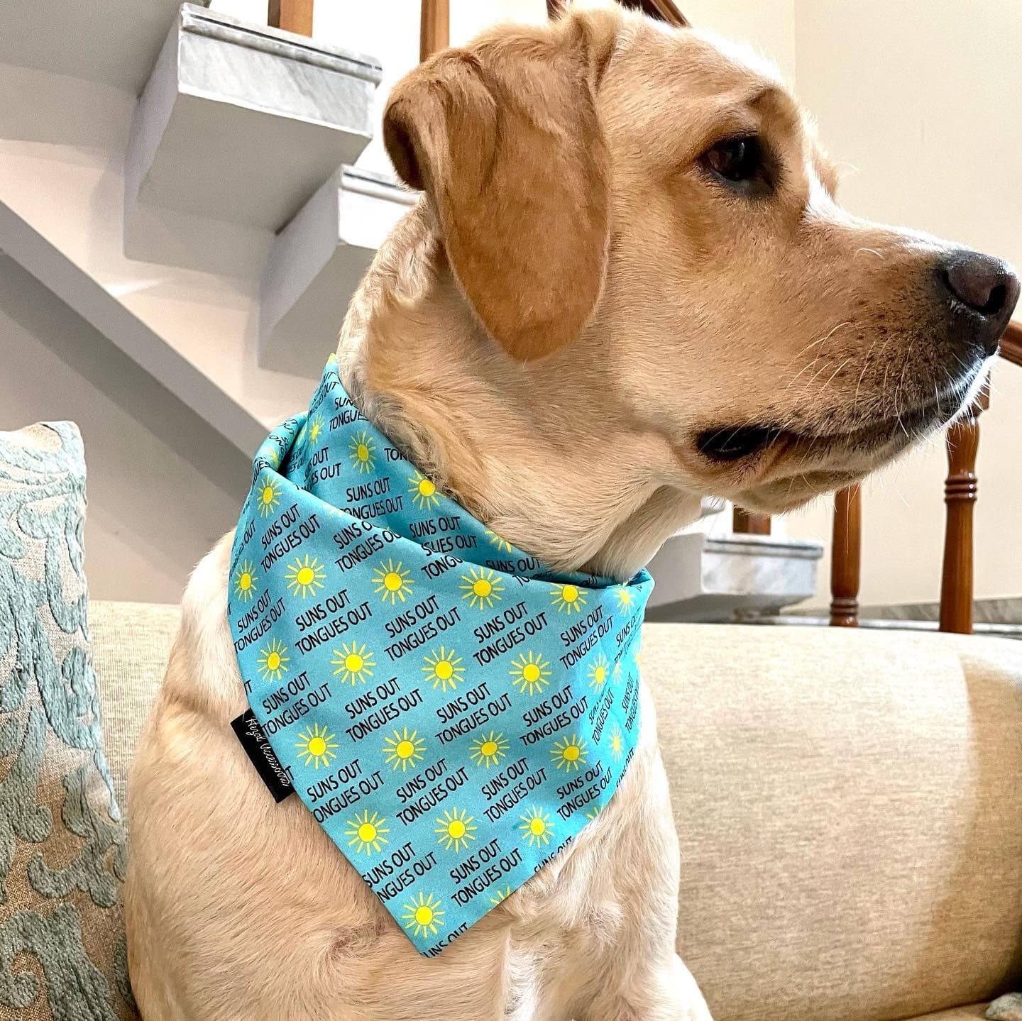 Suns Out, Tongues Out tie on Bandana image 3