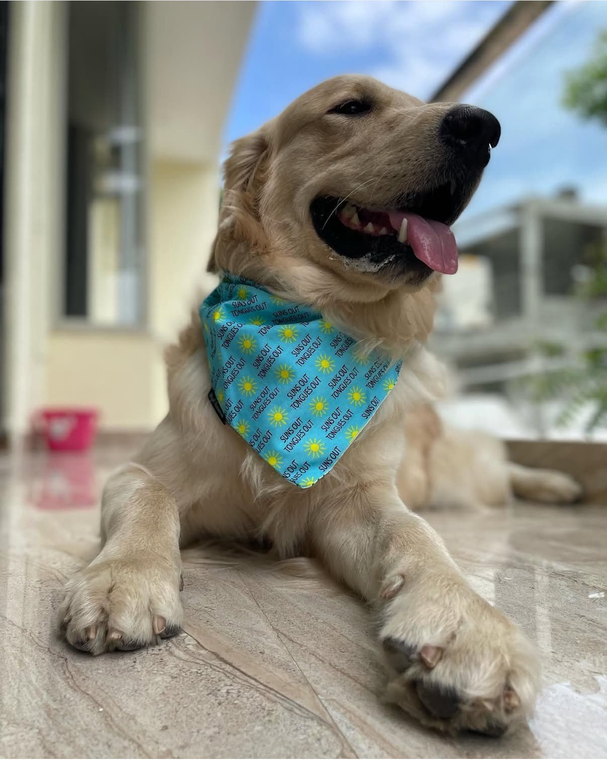 Suns Out, Tongues Out tie on Bandana image 2