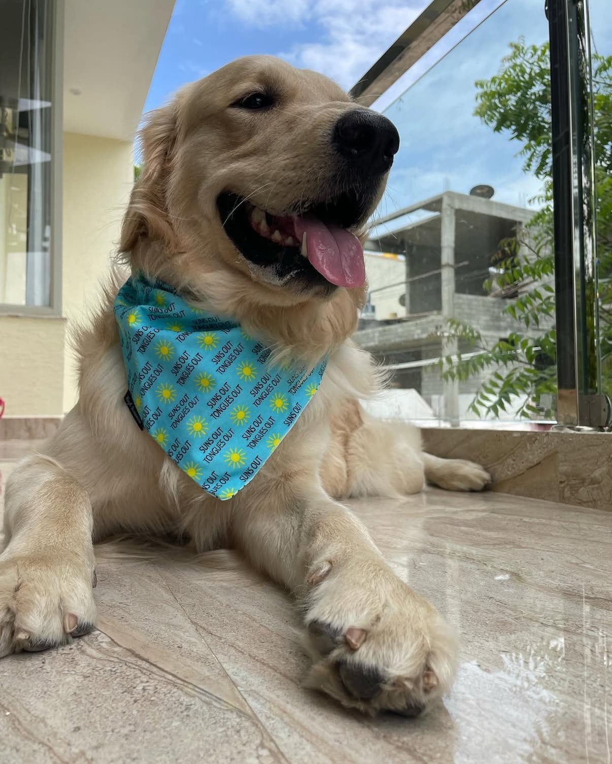 Suns Out, Tongues Out tie on Bandana
