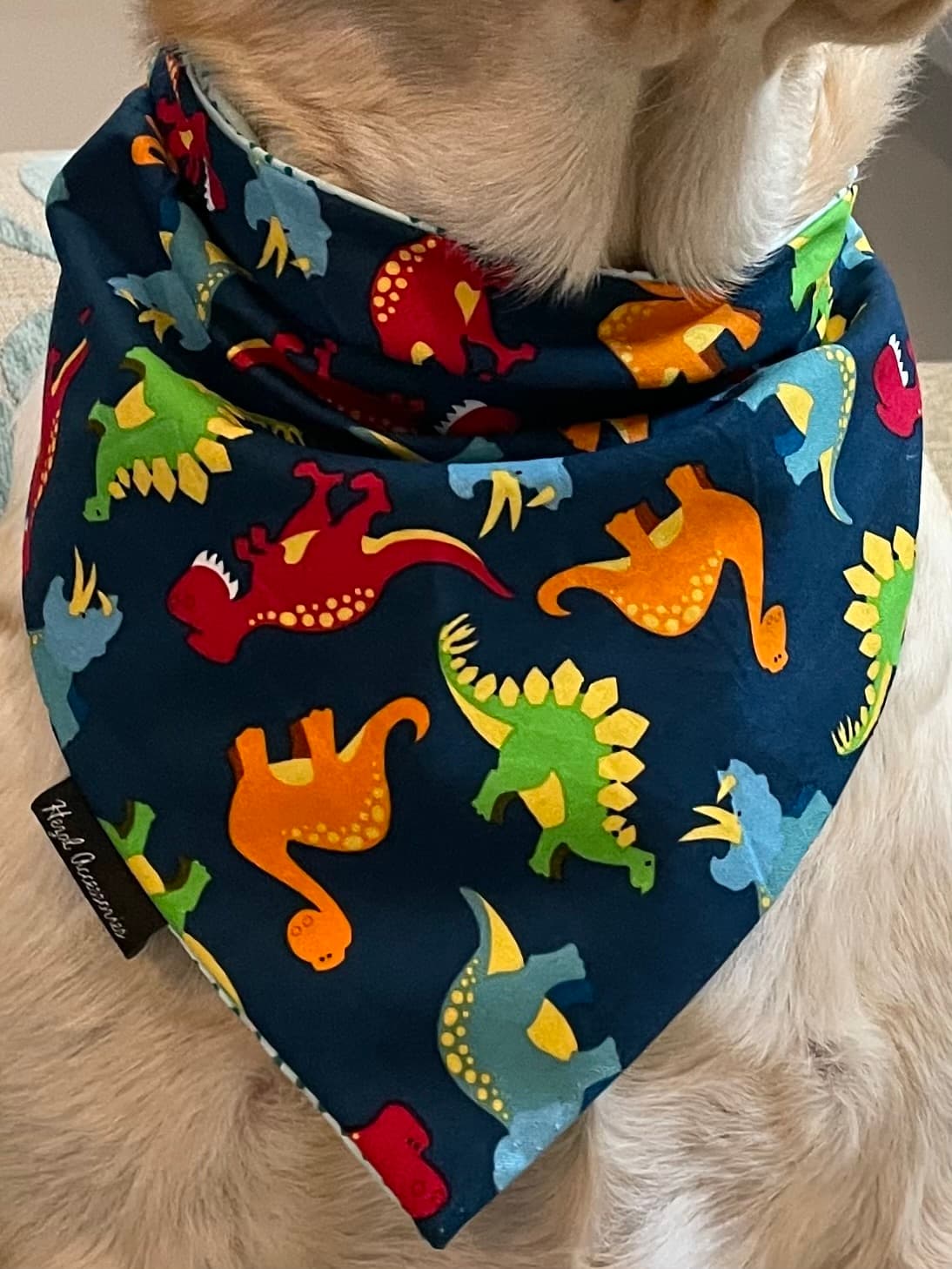 Dino Pawty Bandana  image 2