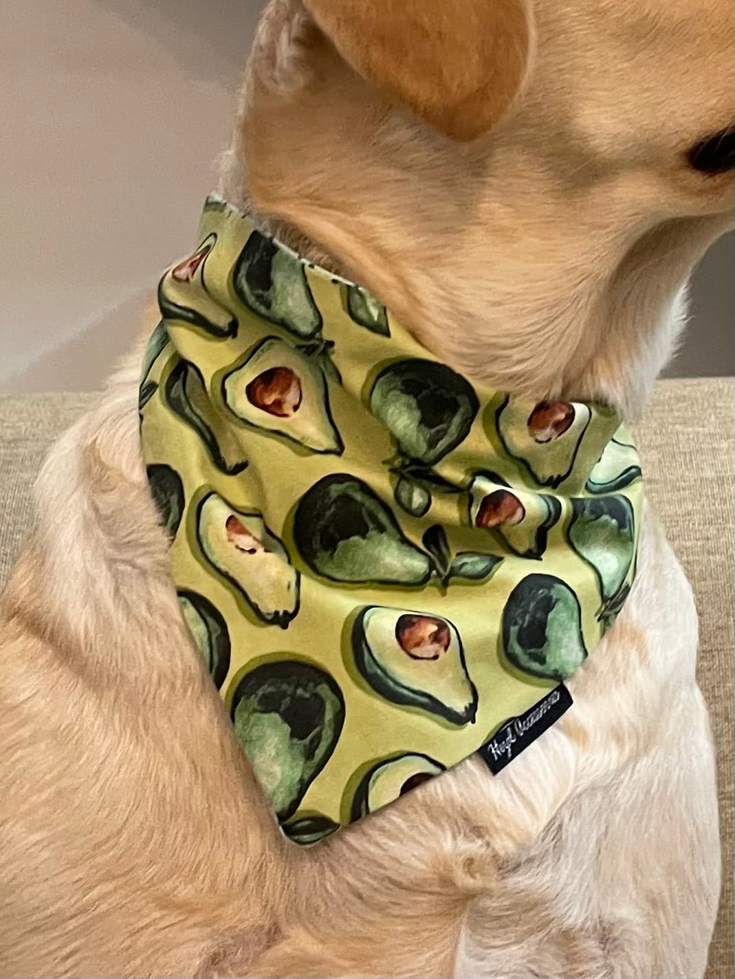AvoCuddle tie on Bandana  image 4