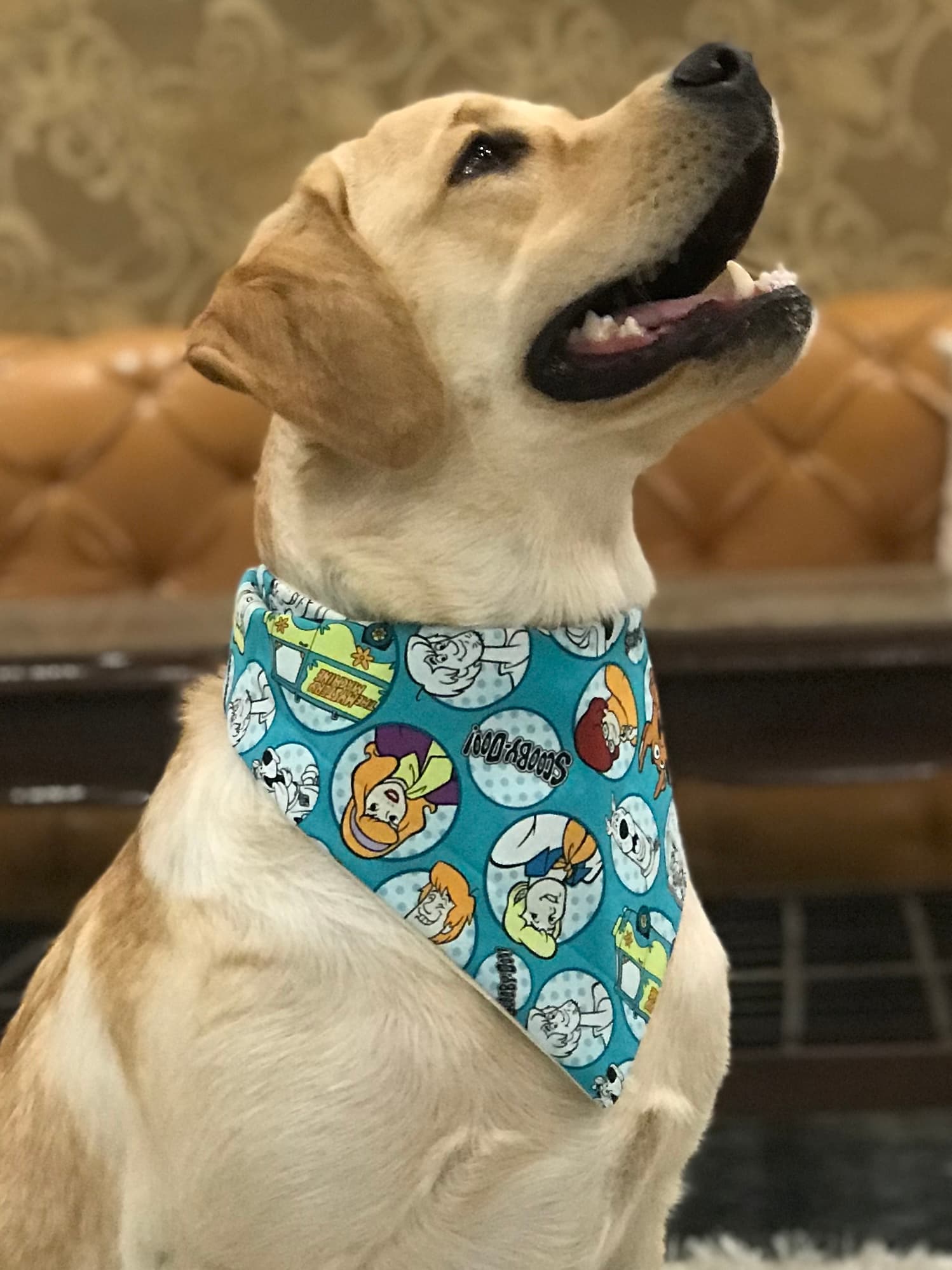 Scooby Style tie on Bandana