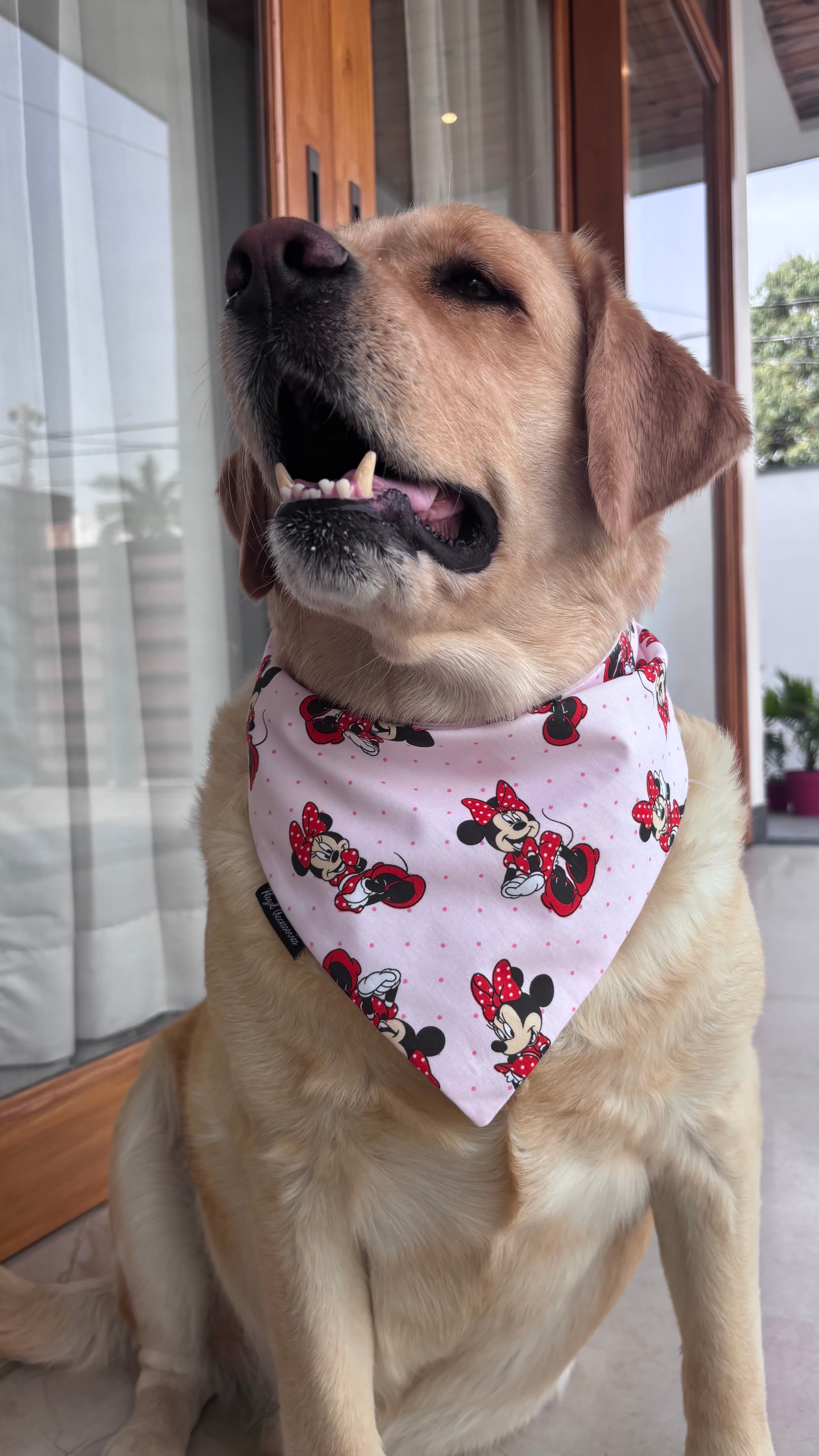 Minnie Magic Tie-On Bandana