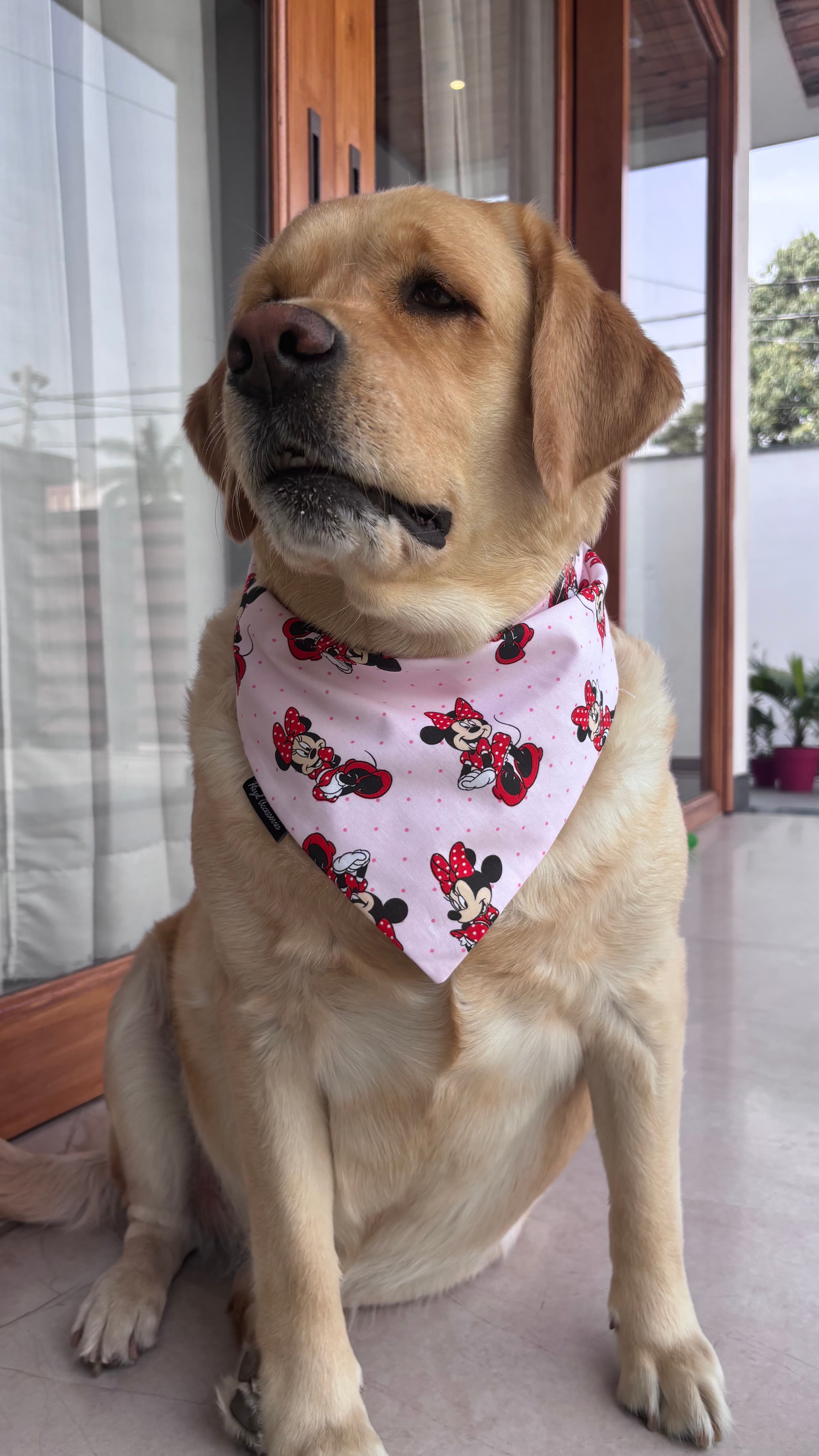 Minnie Magic Tie-On Bandana image 2
