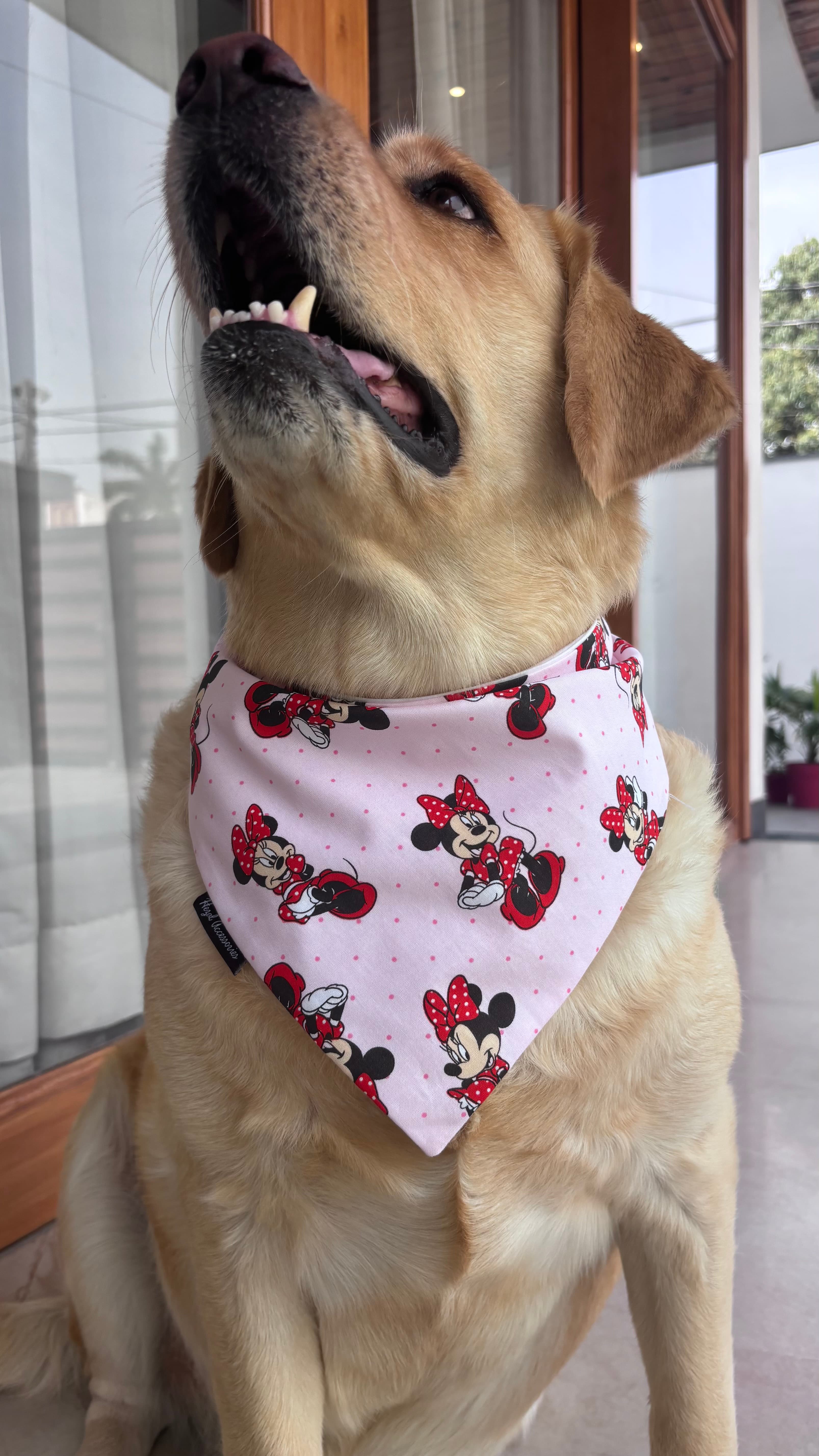 Minnie Magic Tie-On Bandana image 3