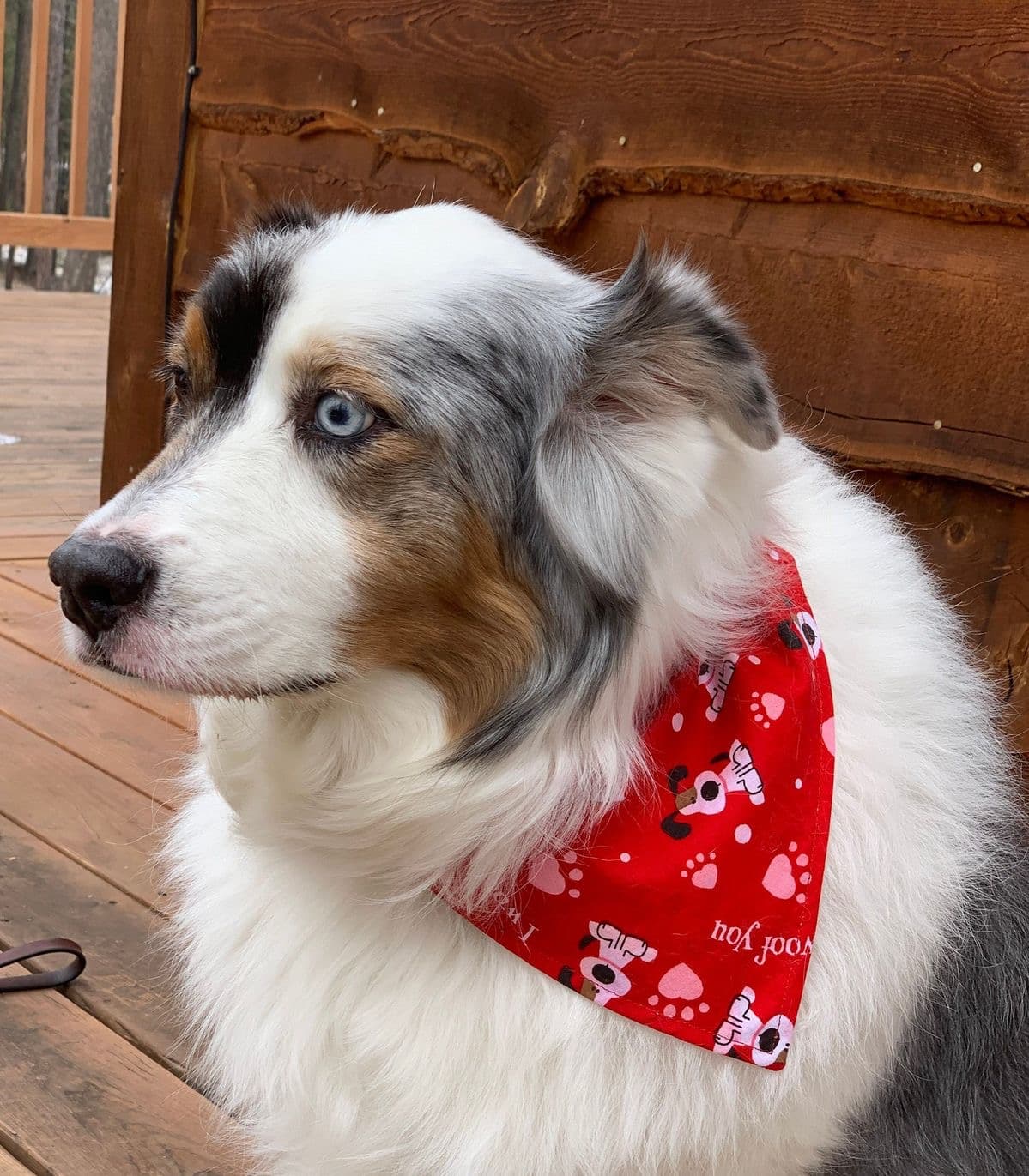 I Woof You Tie-On Bandana  image 3