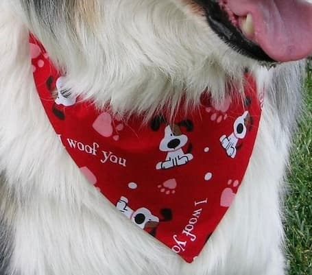 I Woof You Tie-On Bandana  image 4