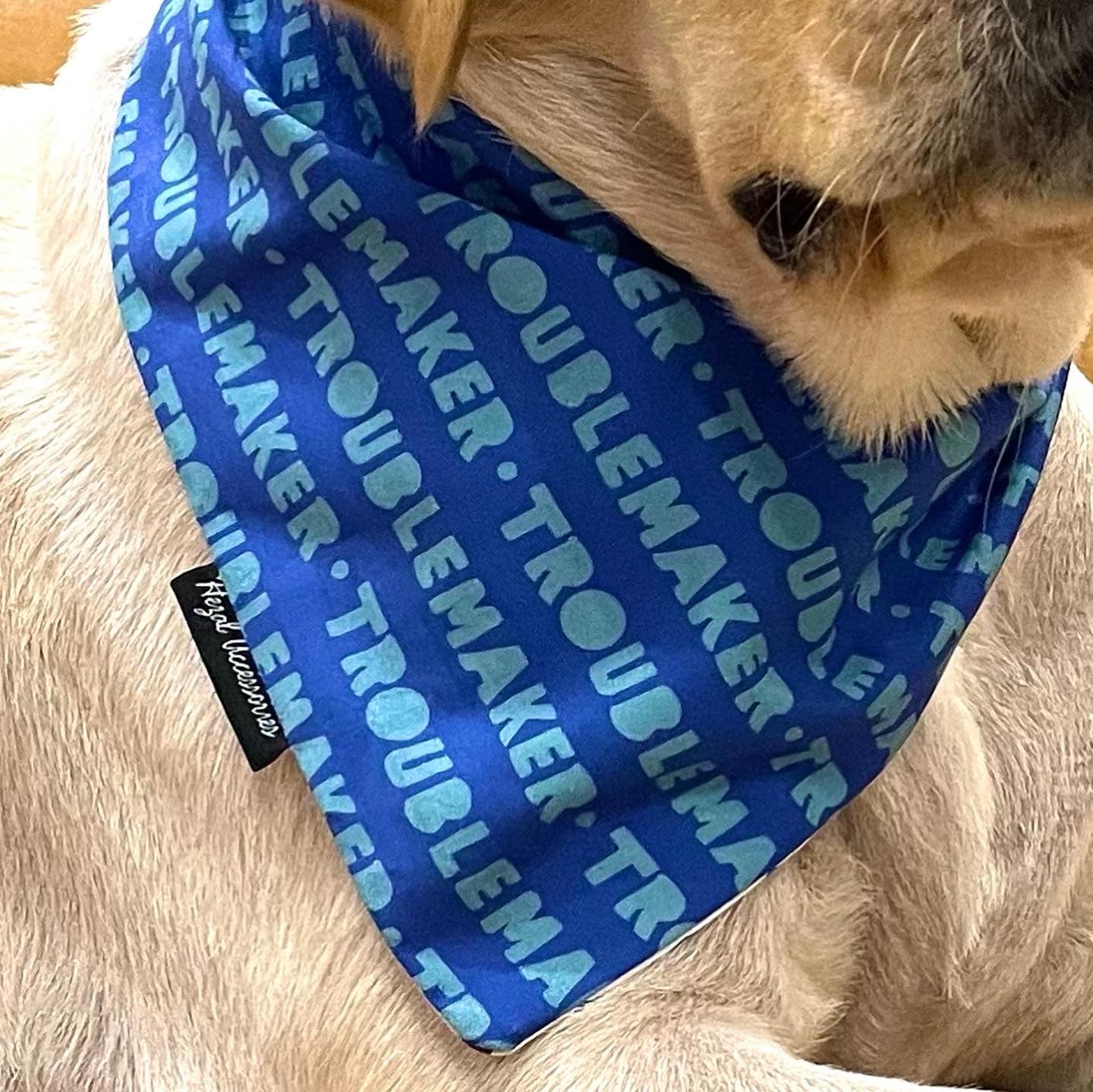 Little Troublemaker tie on Bandana  image 2