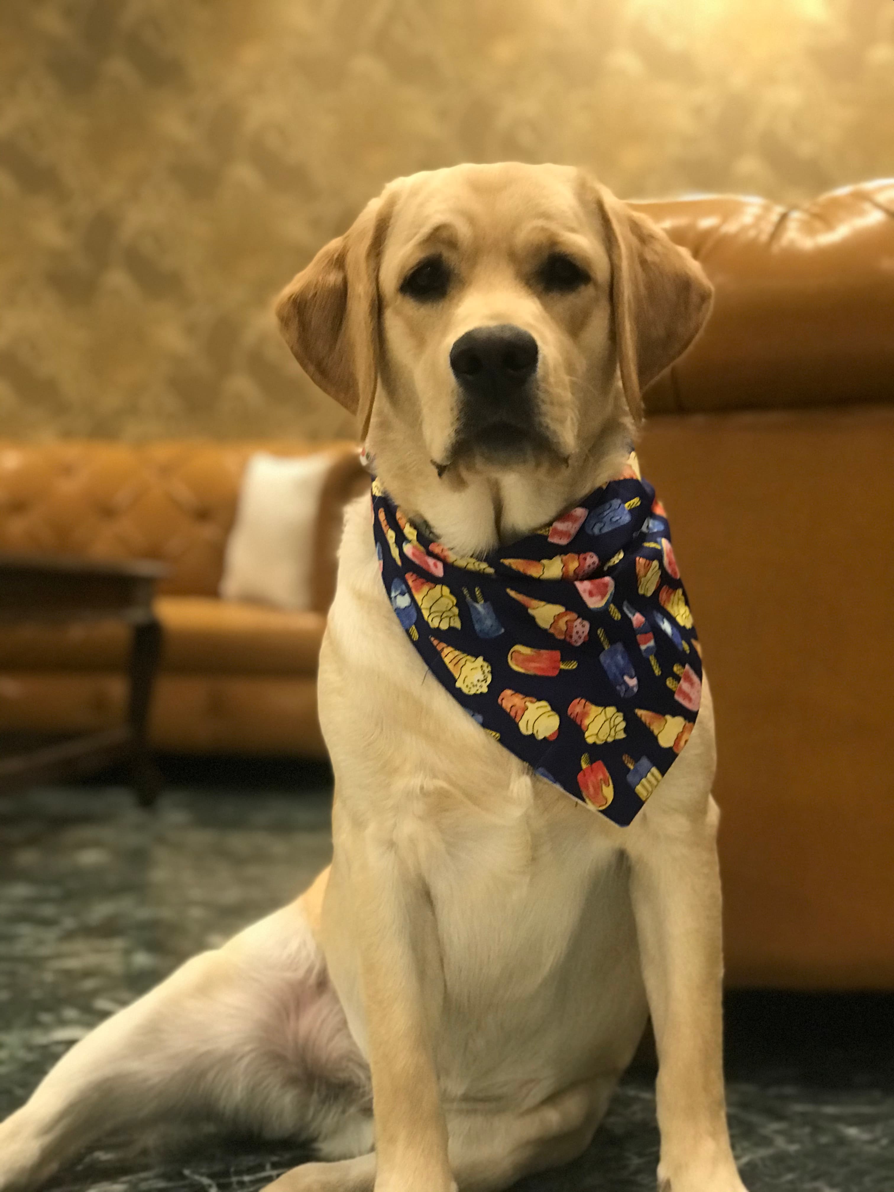 Sweet Treats tie on Bandana 