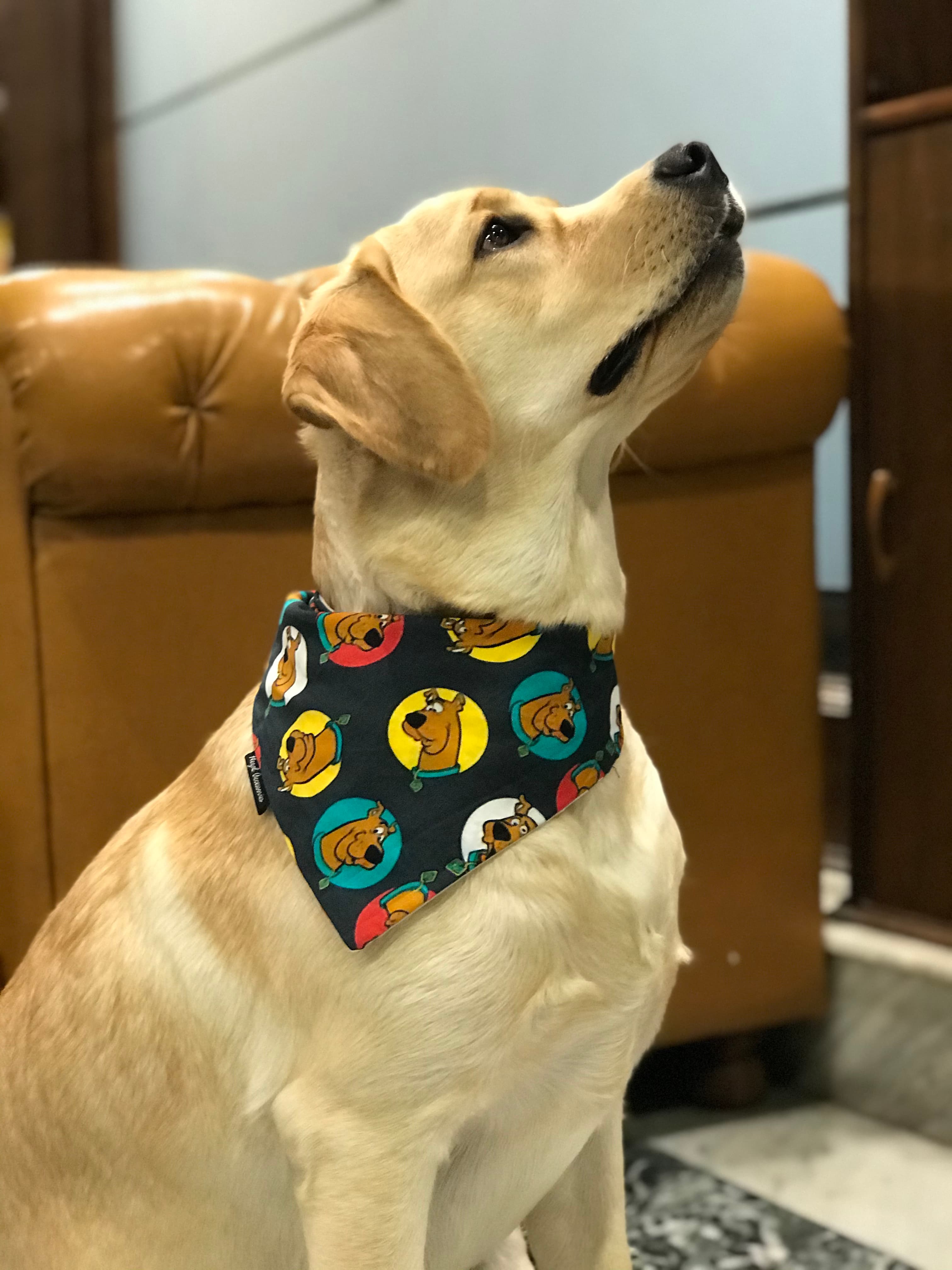 Scooby-Doo Fun tie on Bandana image 2