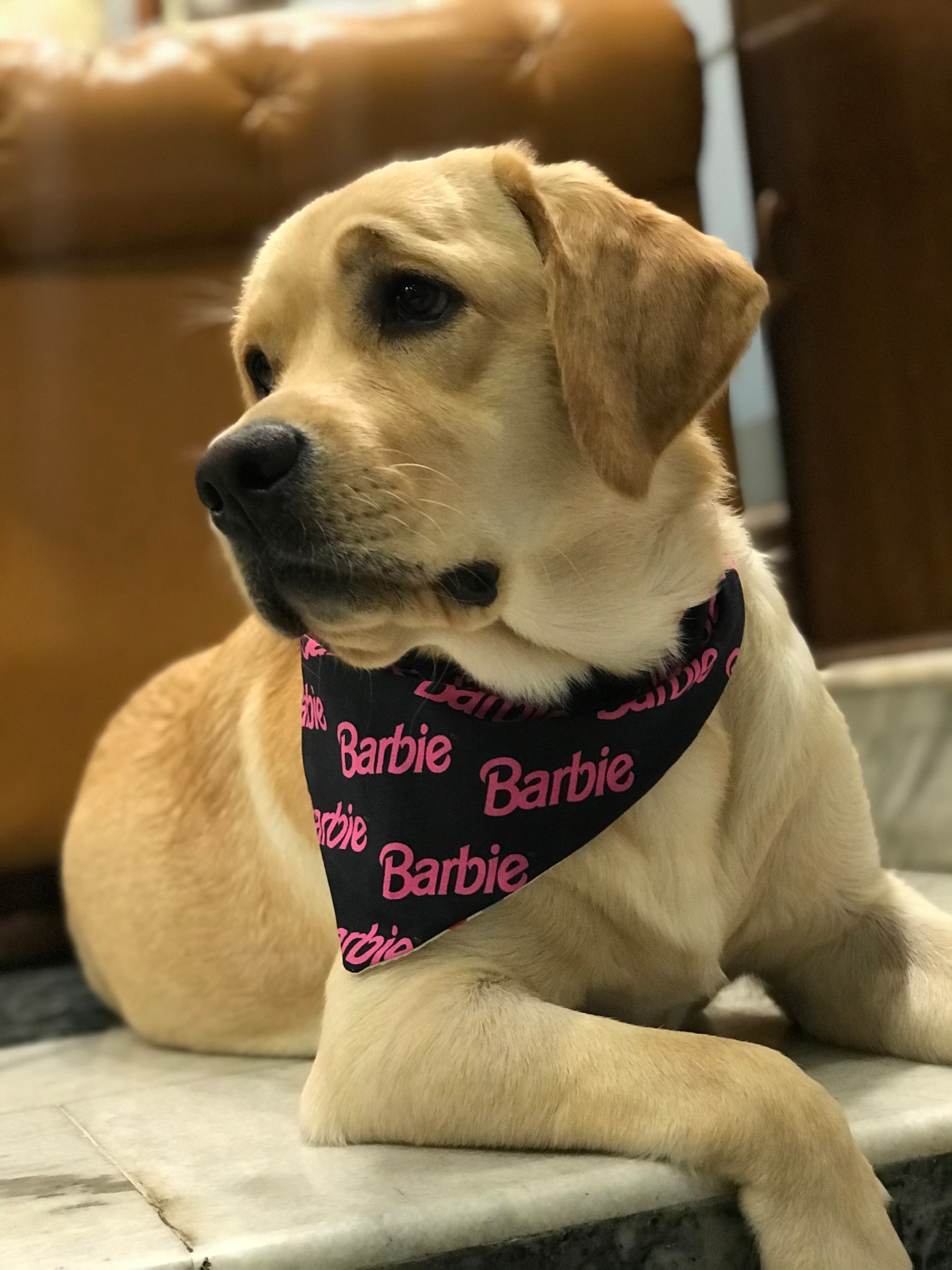 Barbie Glam tie on Bandana  image 3