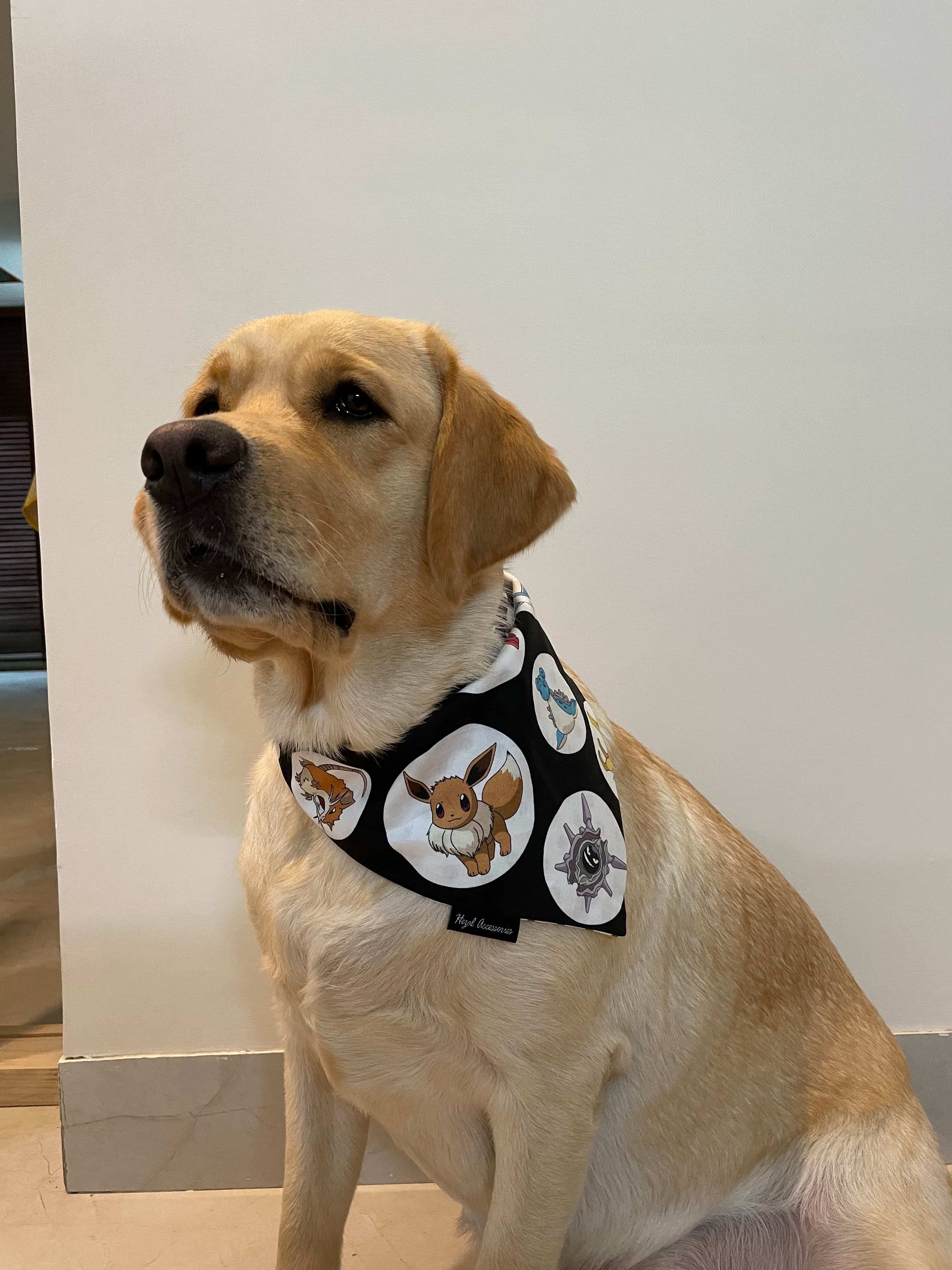 Pokémon Pals tie on Bandana  image 4