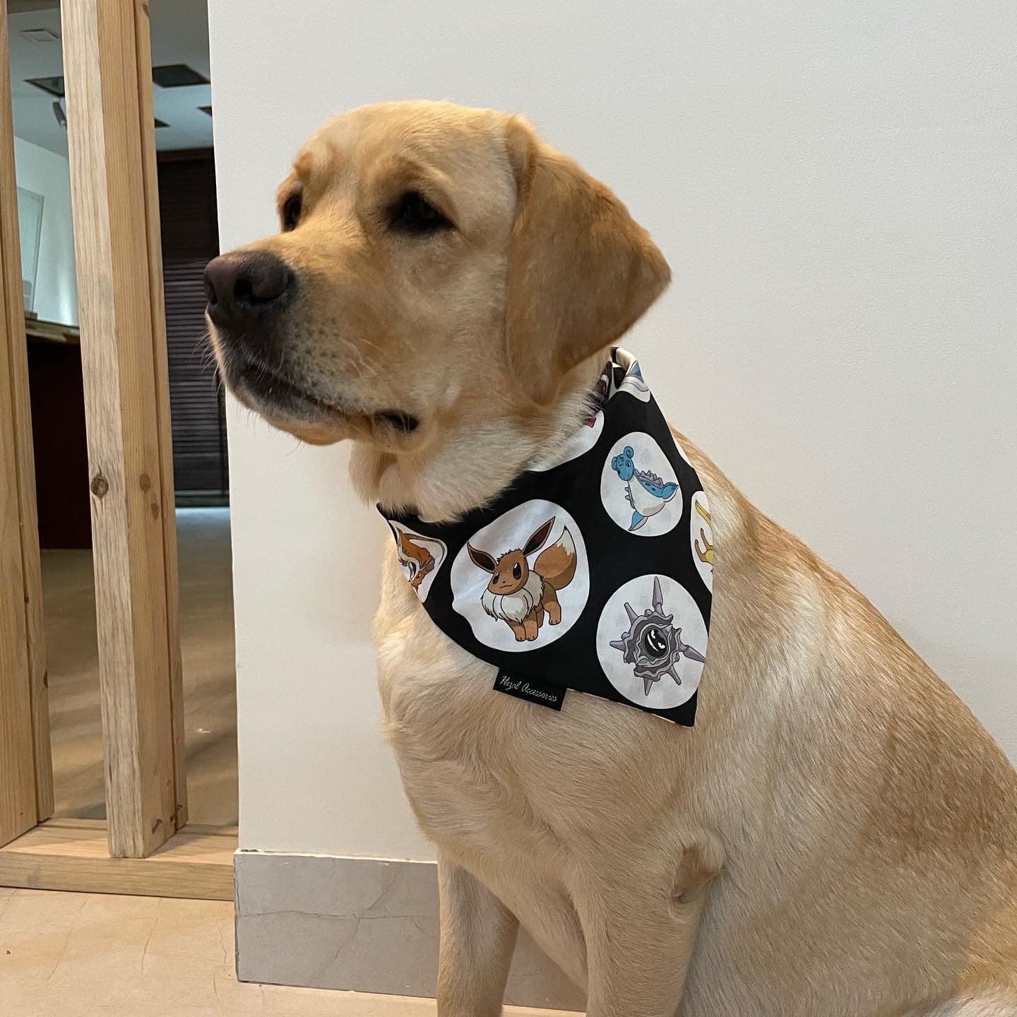 Pokémon Pals tie on Bandana  image 3